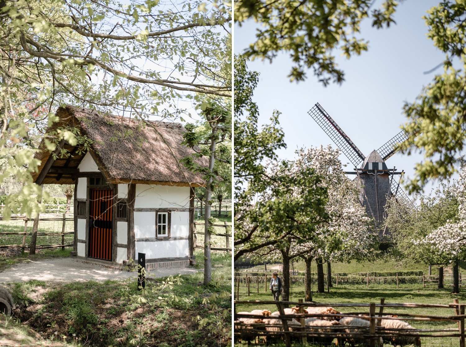 Domaine de Bokrijk Genk Belgique Excursion en famille Flandres 