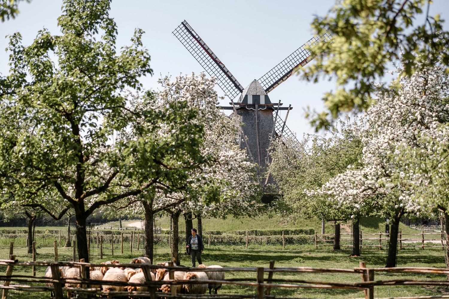 Domaine de Bokrijk Genk Belgique Excursion en famille Flandres 