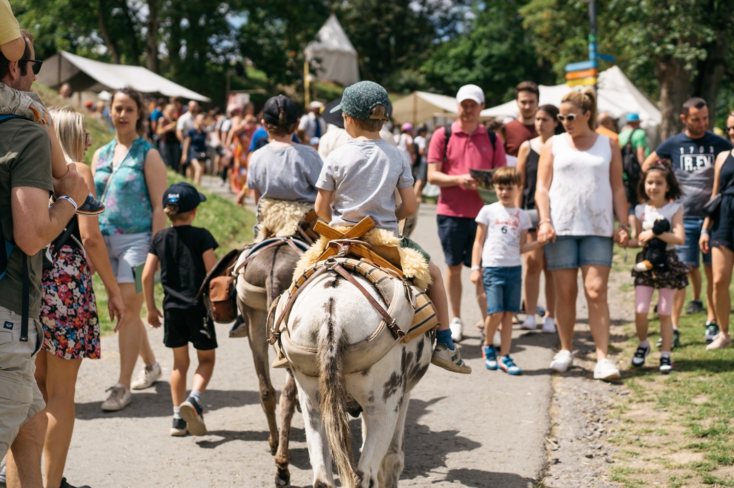 les Médiévales citadelle de namur Belgique foire médiévale moyen âge reconstitution 