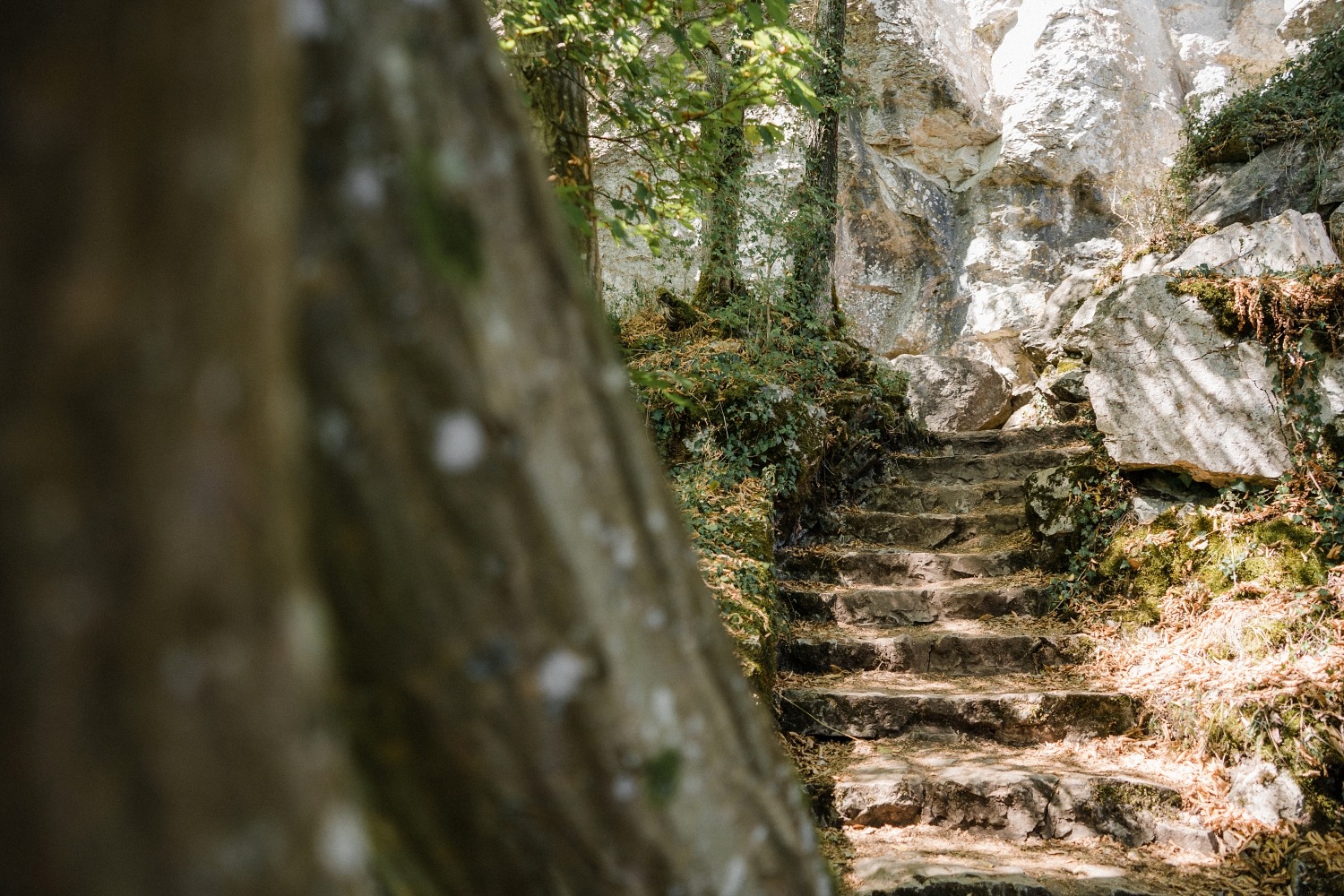 Le Furfooz, 4 km de promenade verticale 36