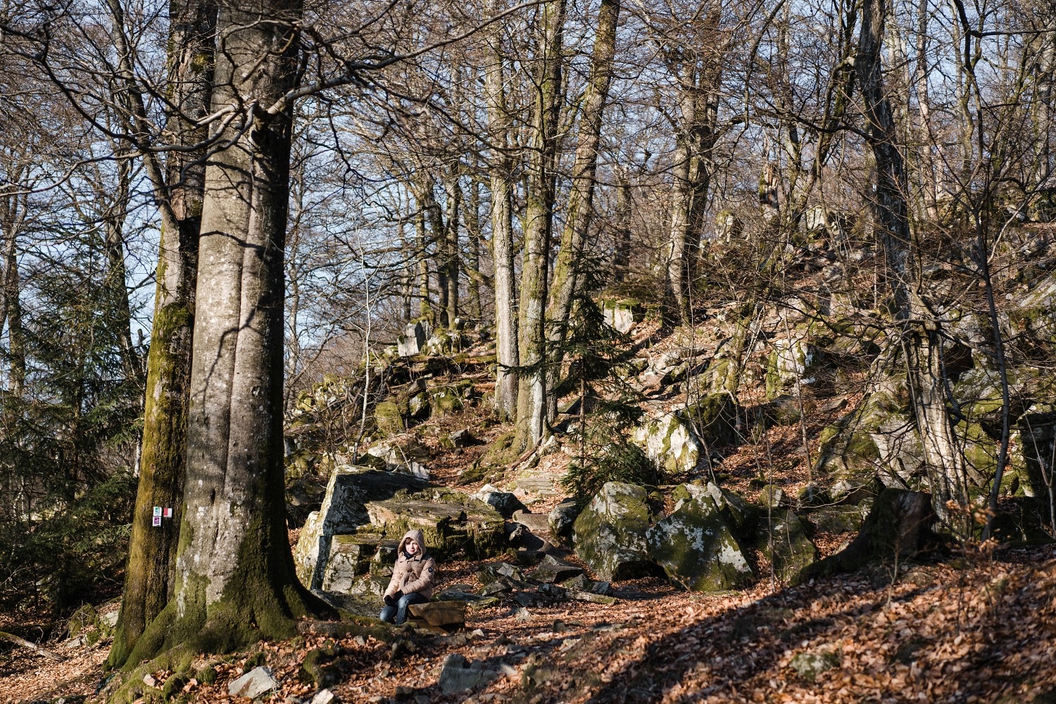 La Sarre insolite en famille 108