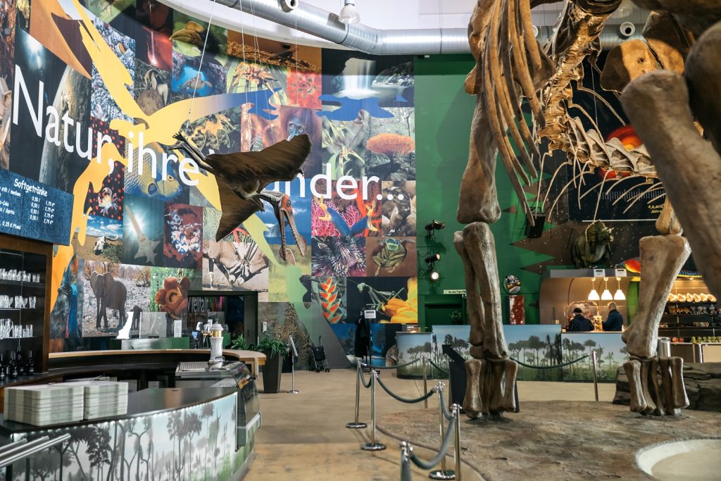 Gondwana das praehistorium musé préhistorique Sarre Saar Allemagne histoire naturelle dinosaure 