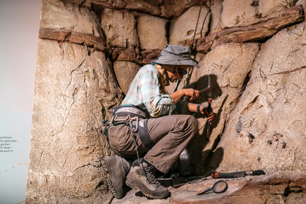 Gondwana das praehistorium musé préhistorique Sarre Saar Allemagne histoire naturelle dinosaure 