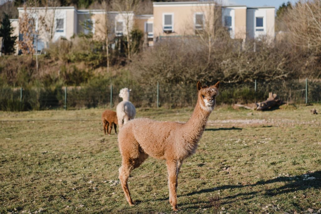 La Sarre insolite en famille 166