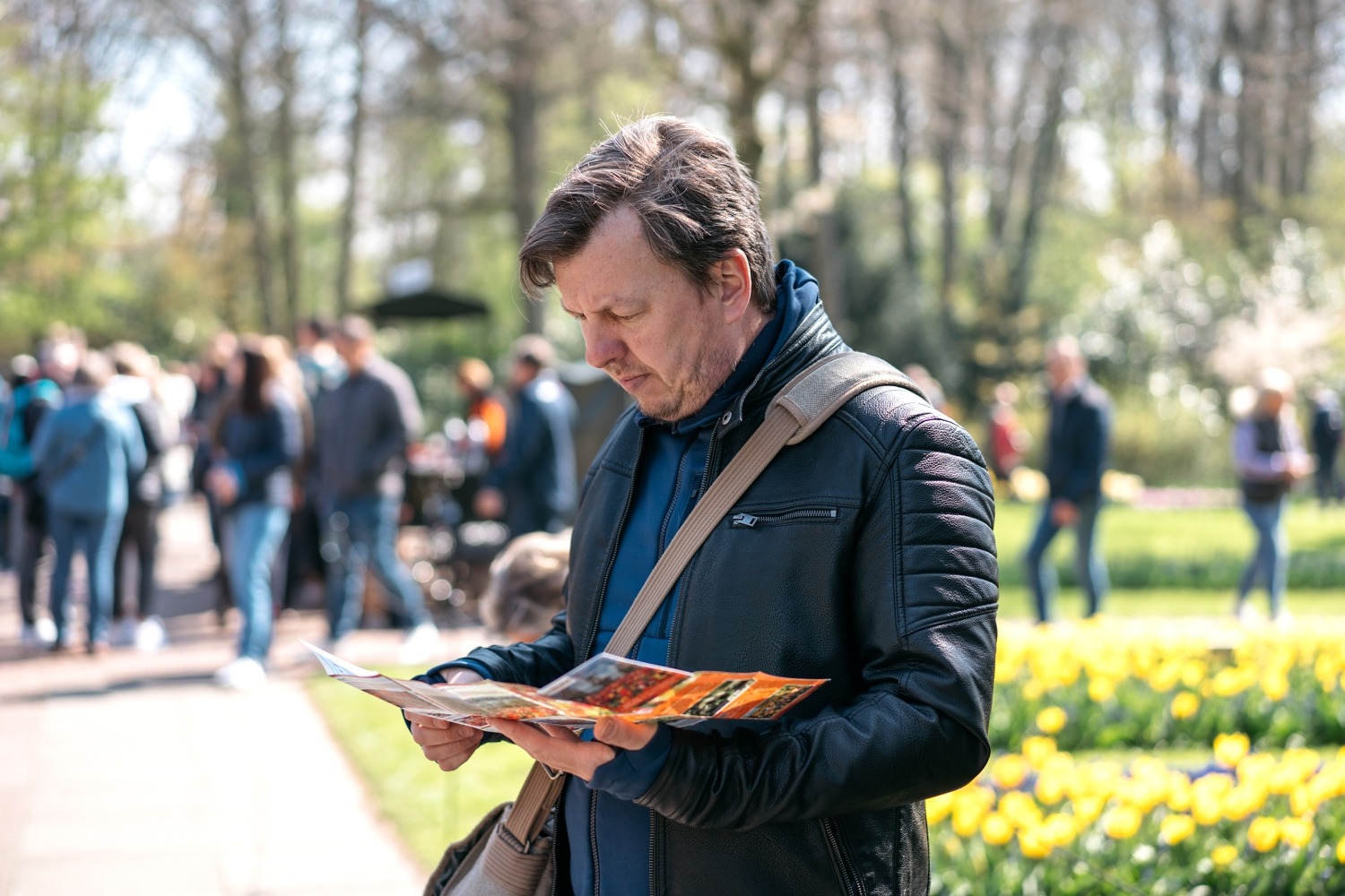 Keukenhof Hollande la haye pays bas tulipe  