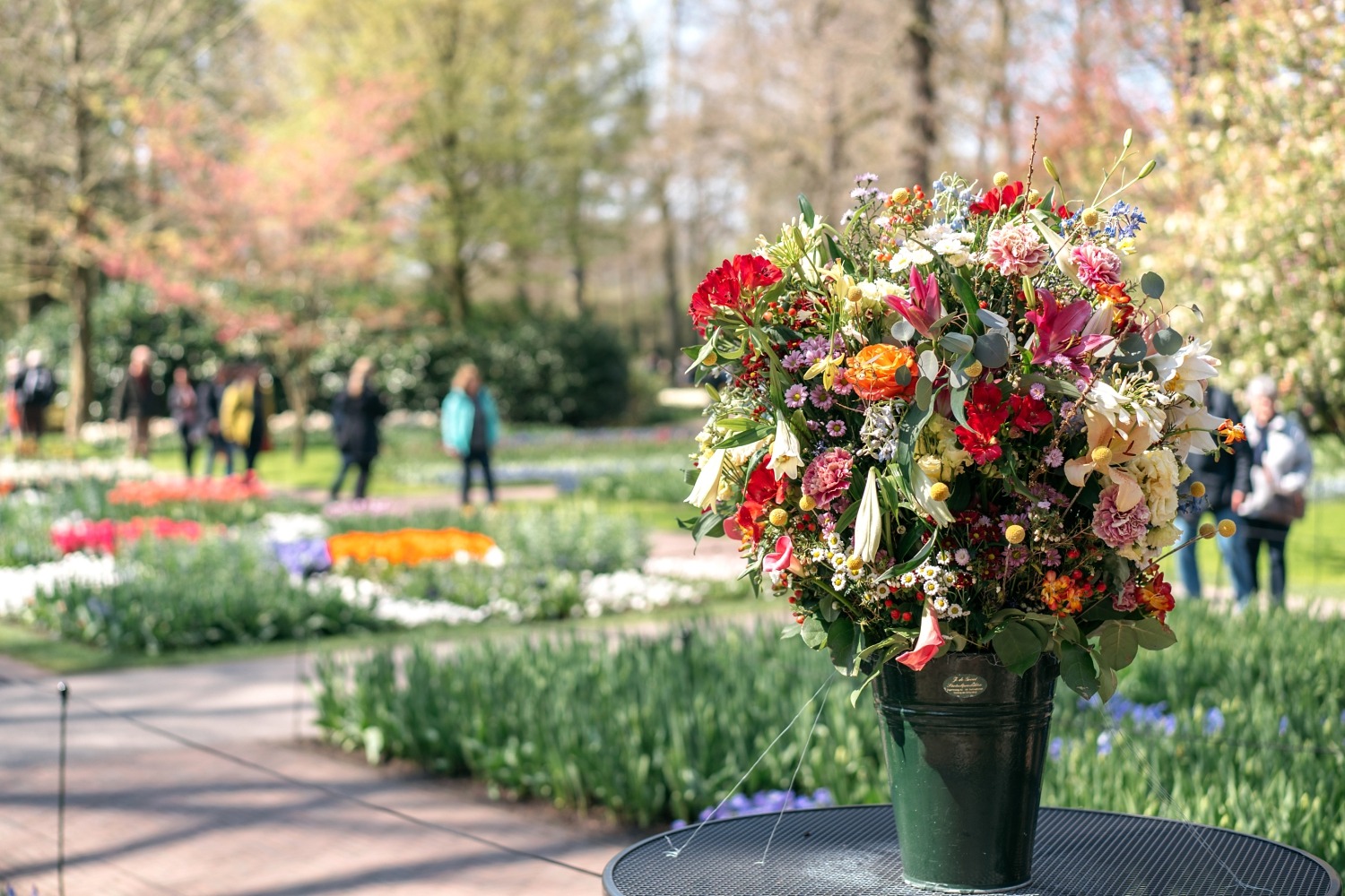 Keukenhof Hollande la haye pays bas tulipe  