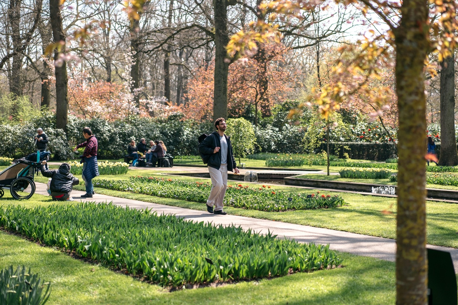 Keukenhof Hollande la haye pays bas tulipe  