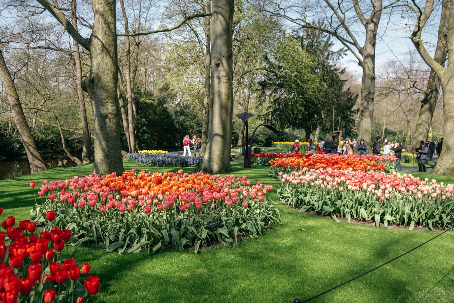 Keukenhof Hollande la haye pays bas tulipe  