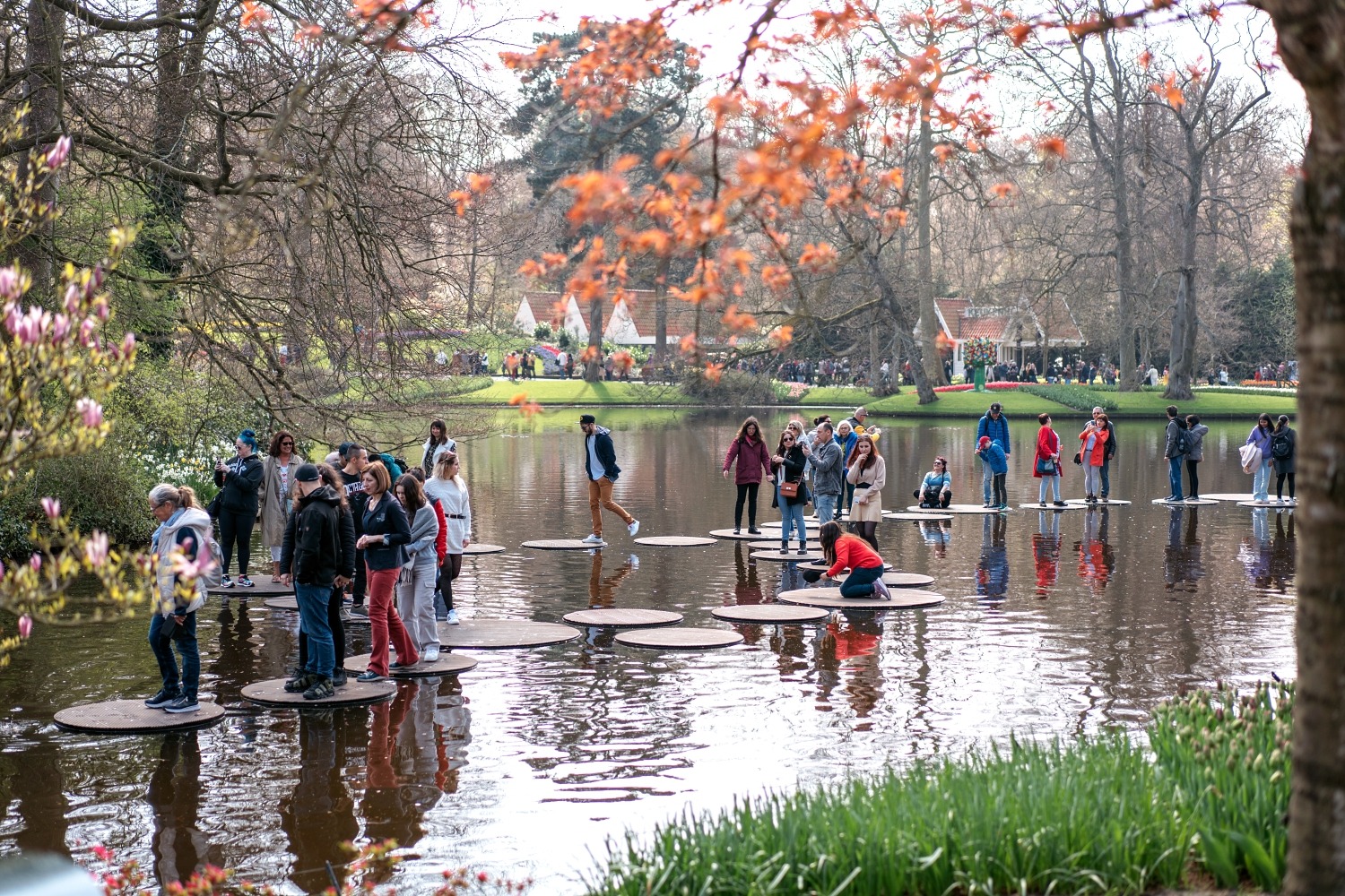 Keukenhof Hollande la haye pays bas tulipe  