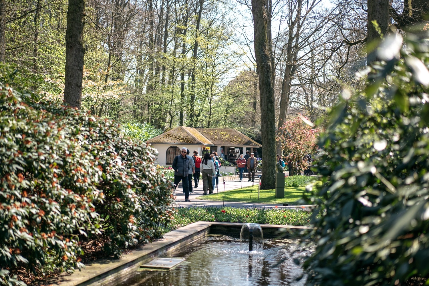 Keukenhof Hollande la haye pays bas tulipe  