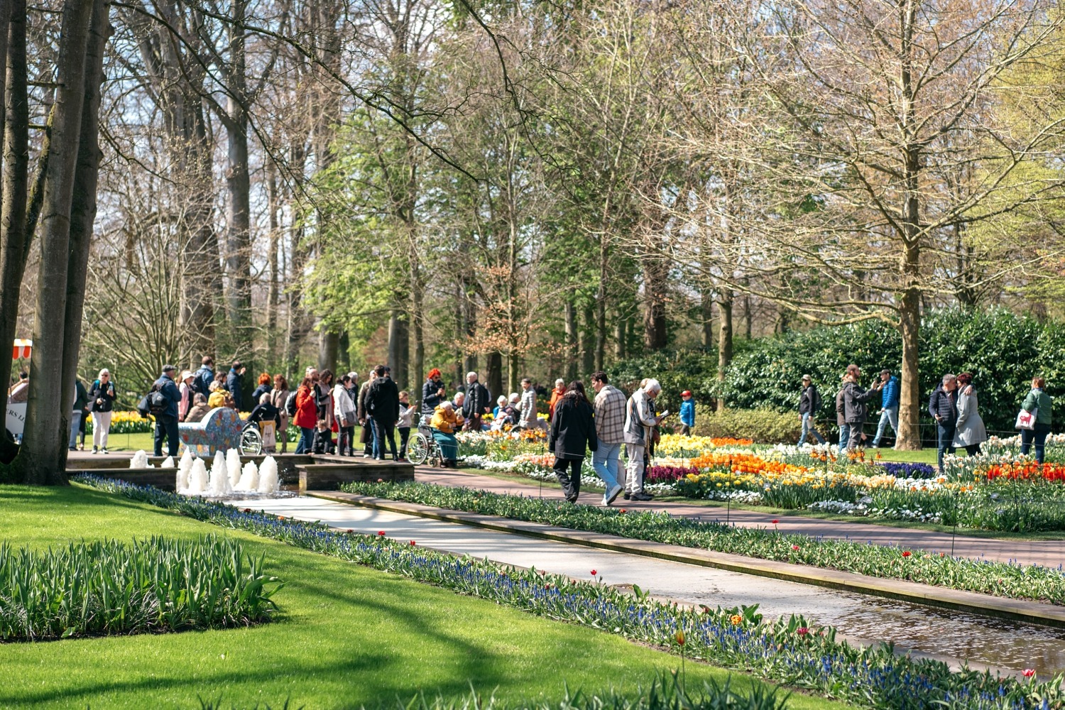 Keukenhof Hollande la haye pays bas tulipe  