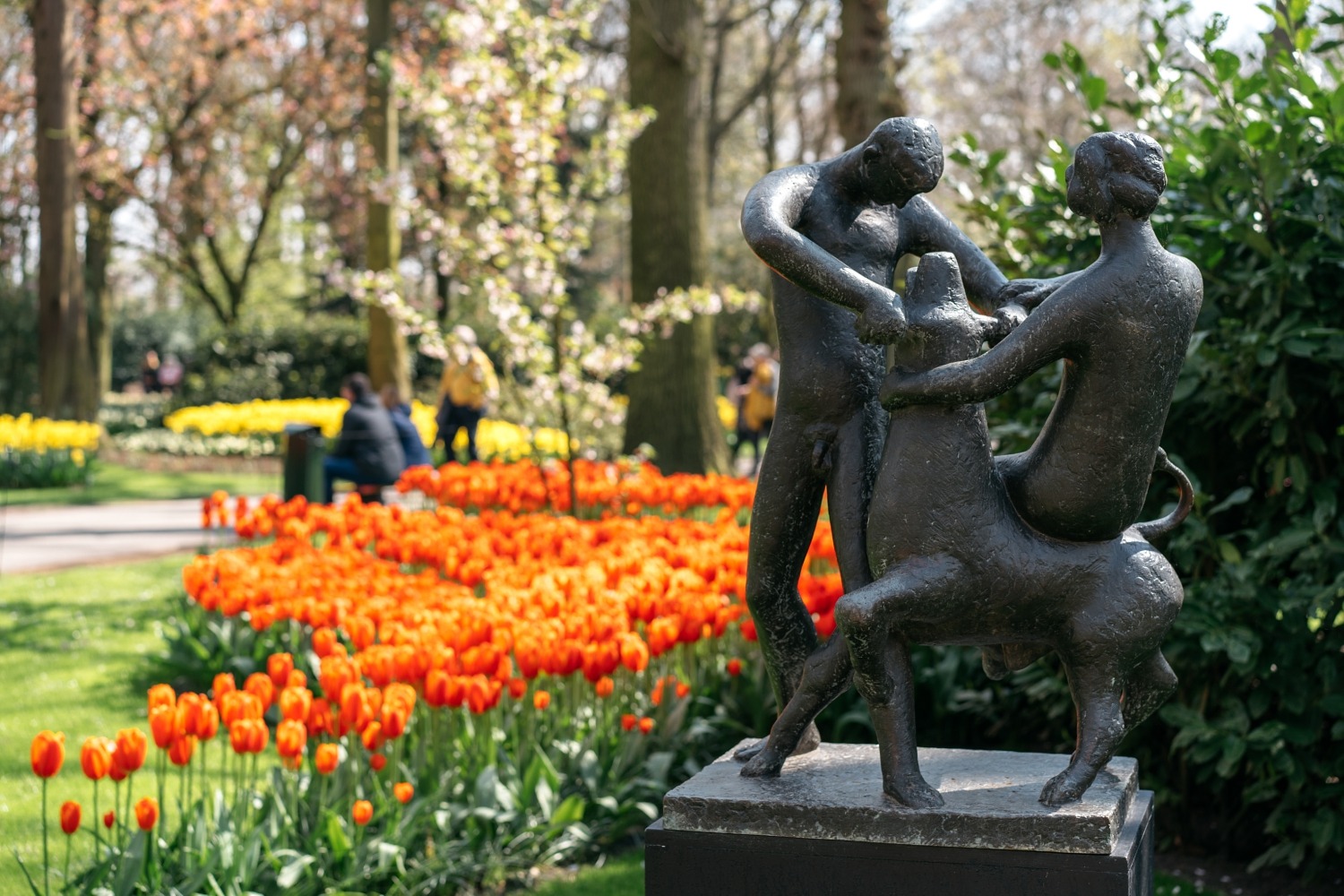 Keukenhof Hollande la haye pays bas tulipe  