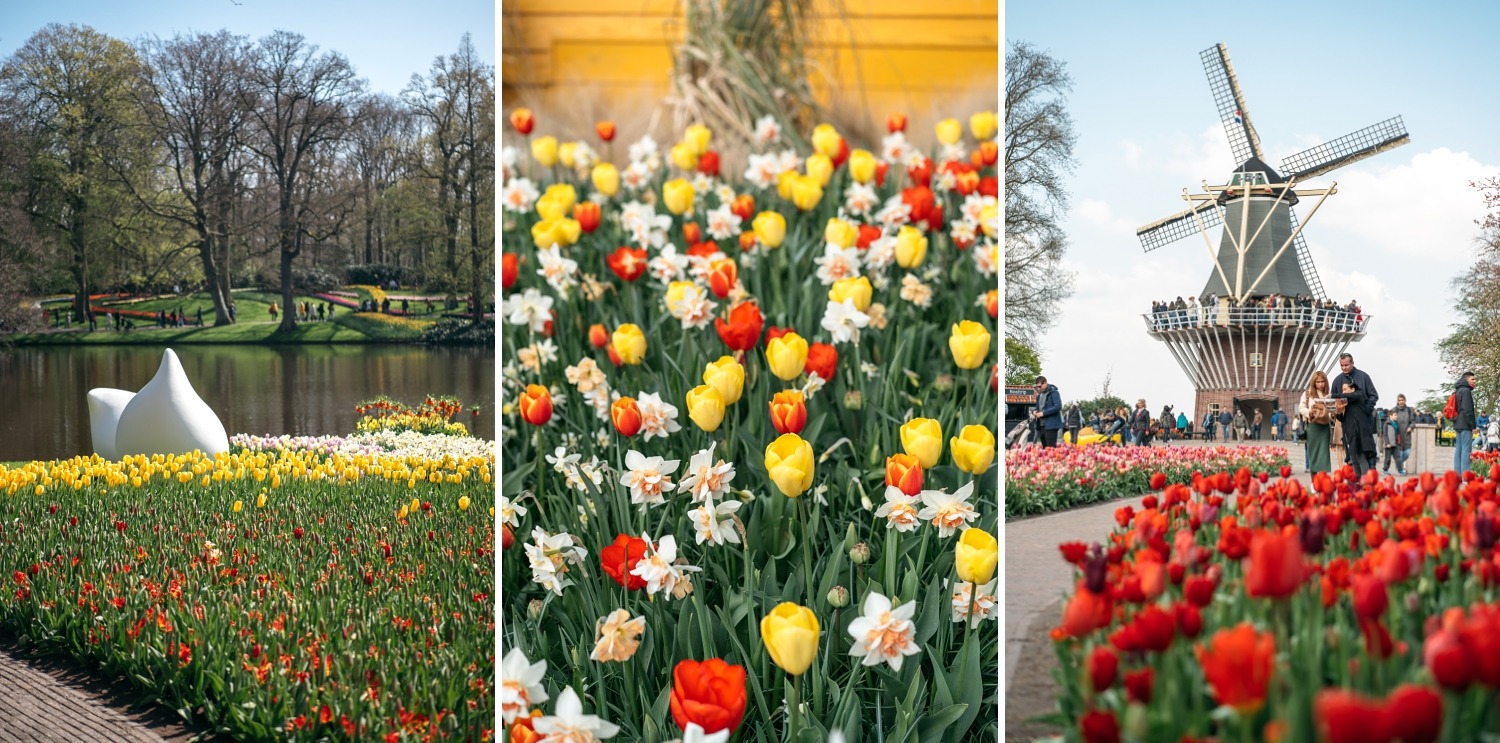 Keukenhof Hollande la haye pays bas tulipe  