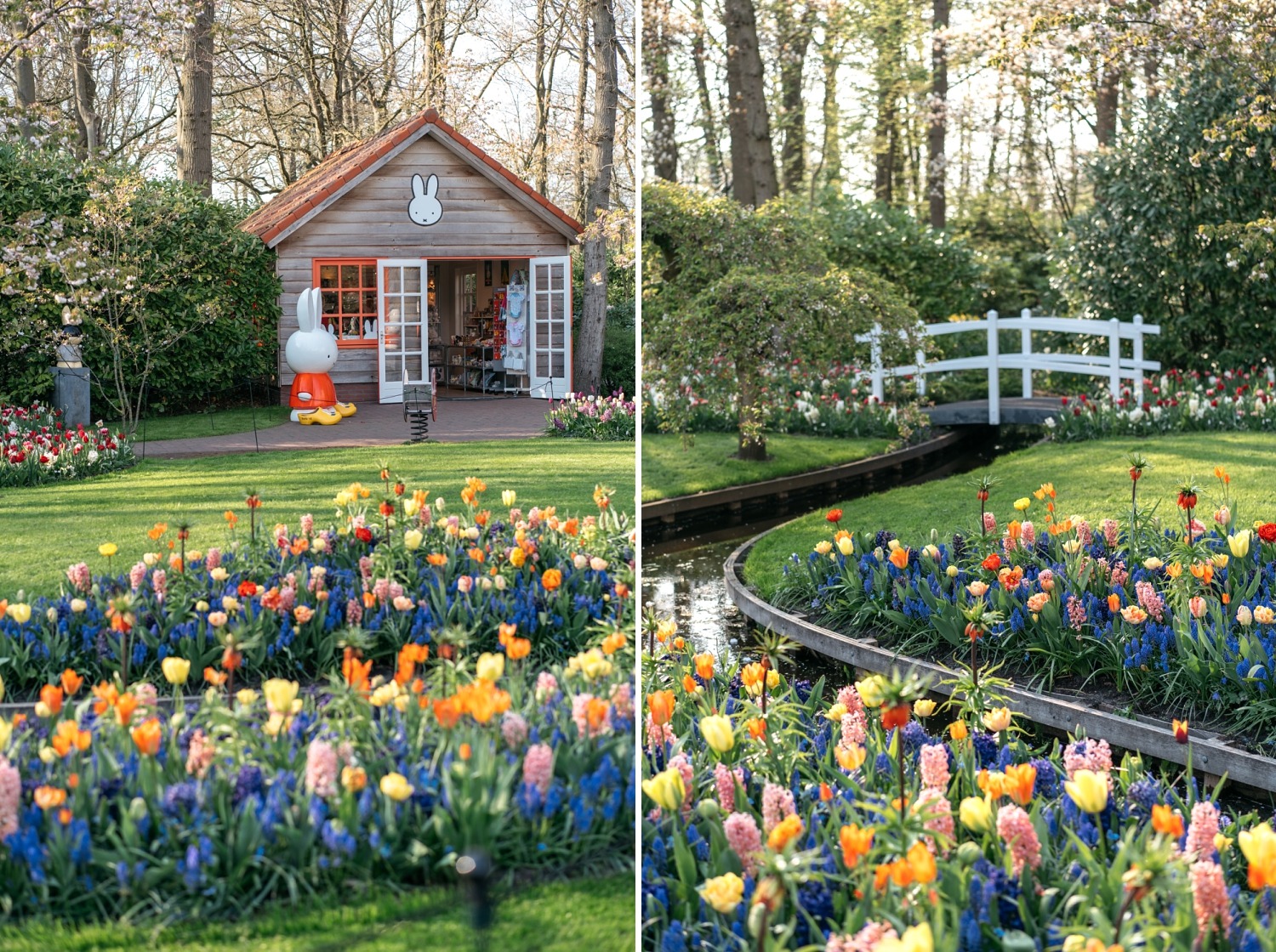 Keukenhof Hollande la haye pays bas tulipe  