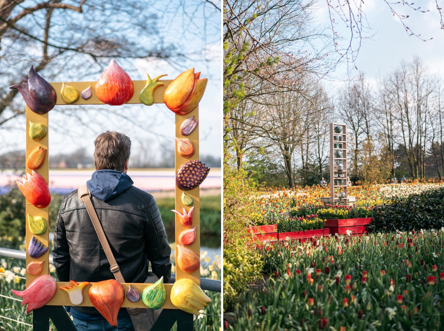 Keukenhof Hollande la haye pays bas tulipe  