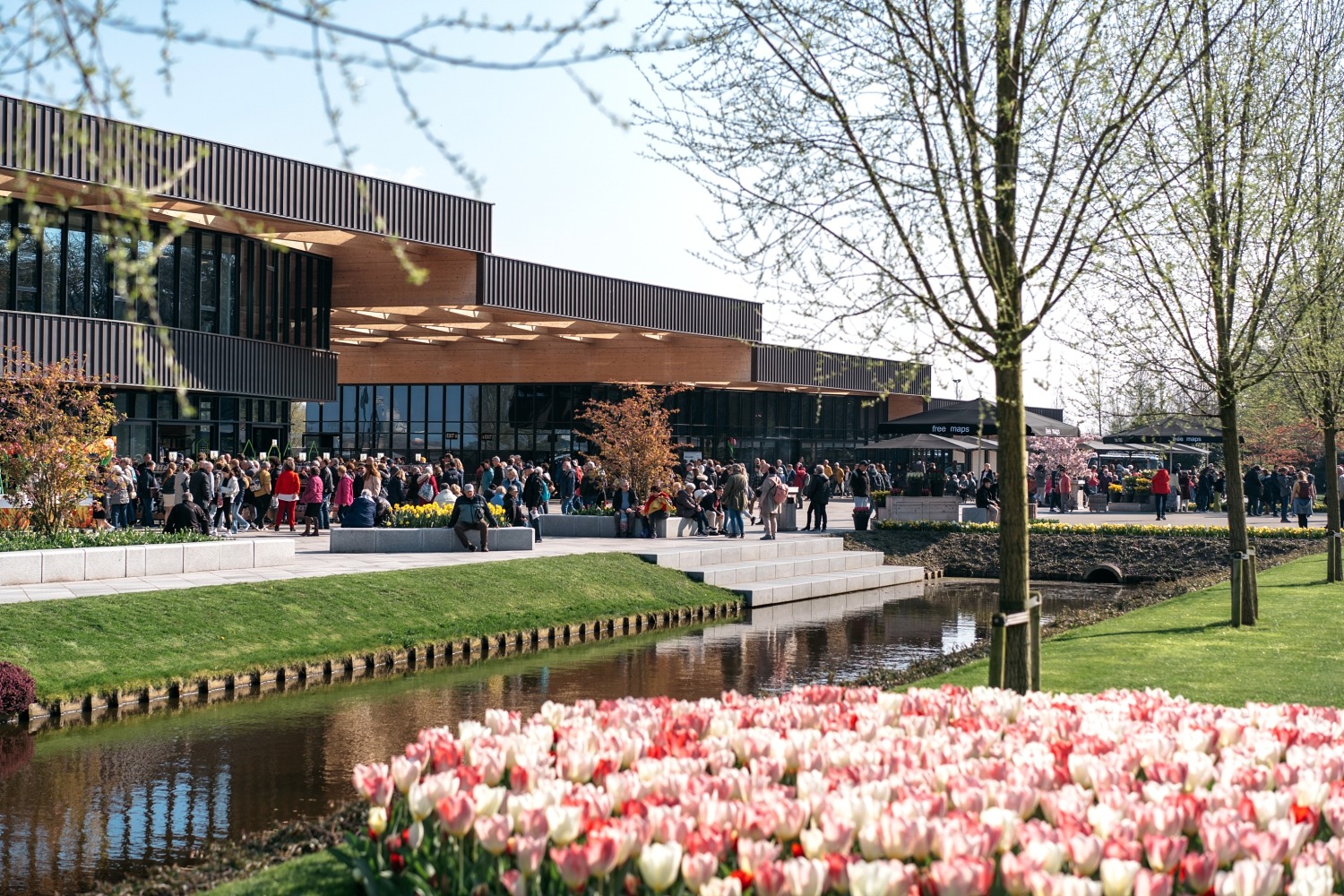 Keukenhof Hollande la haye pays bas tulipe  