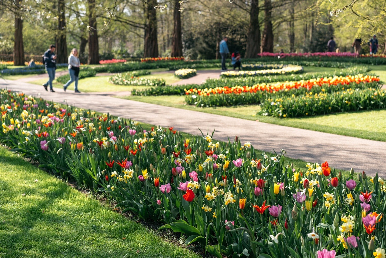 Keukenhof Hollande la haye pays bas tulipe  