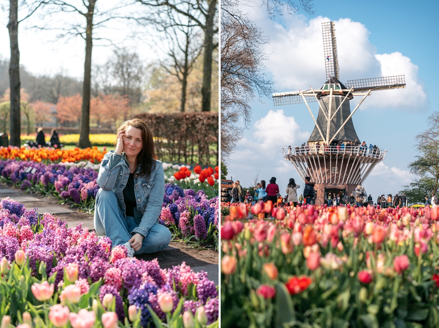 Keukenhof Hollande la haye pays bas tulipe  