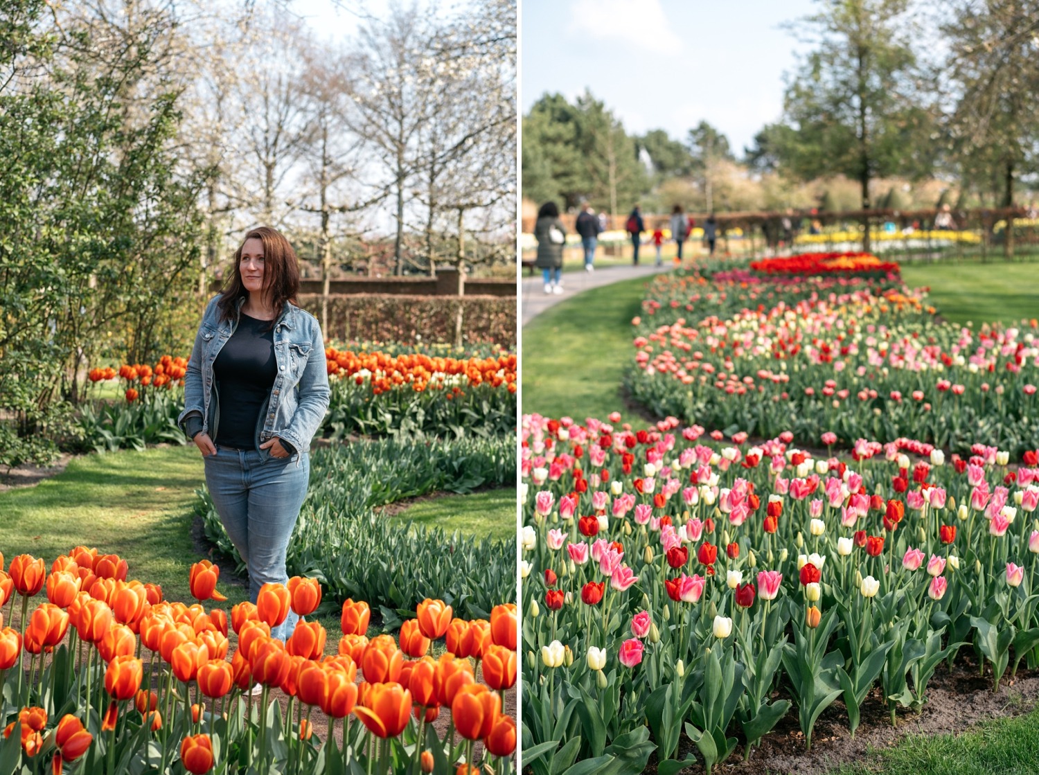 Keukenhof Hollande la haye pays bas tulipe  