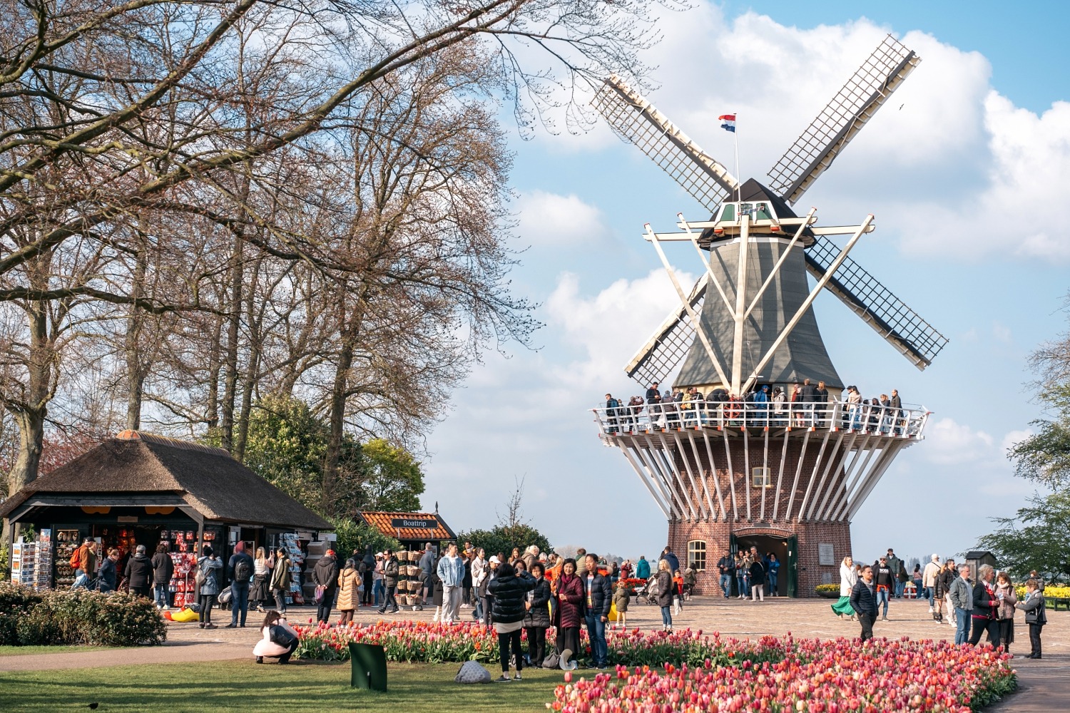 Keukenhof Hollande la haye pays bas tulipe  