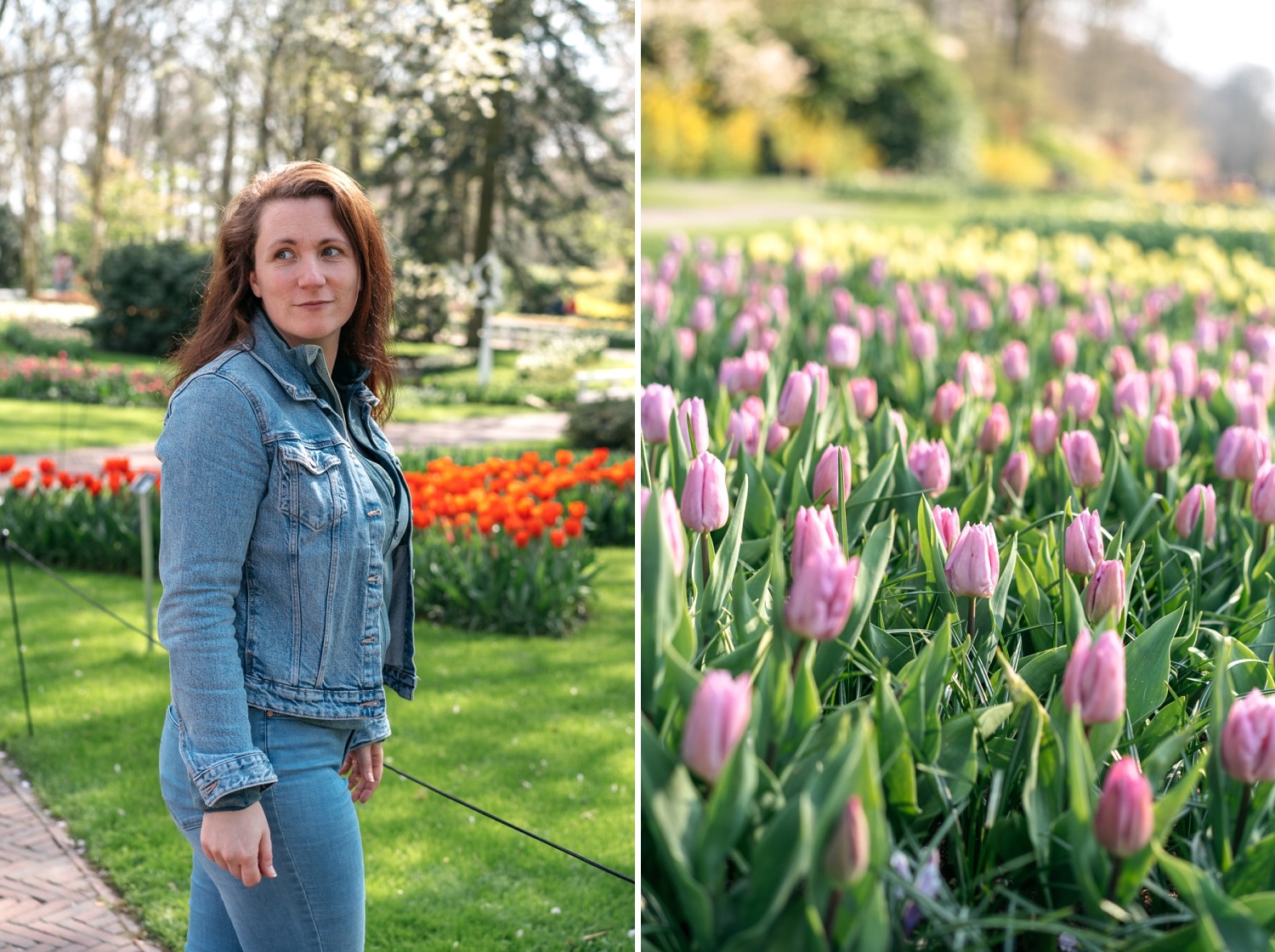 Keukenhof Hollande la haye pays bas tulipe  