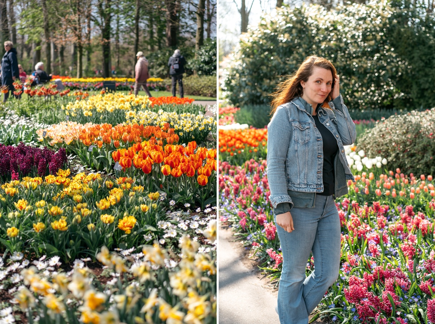 Keukenhof Hollande la haye pays bas tulipe  