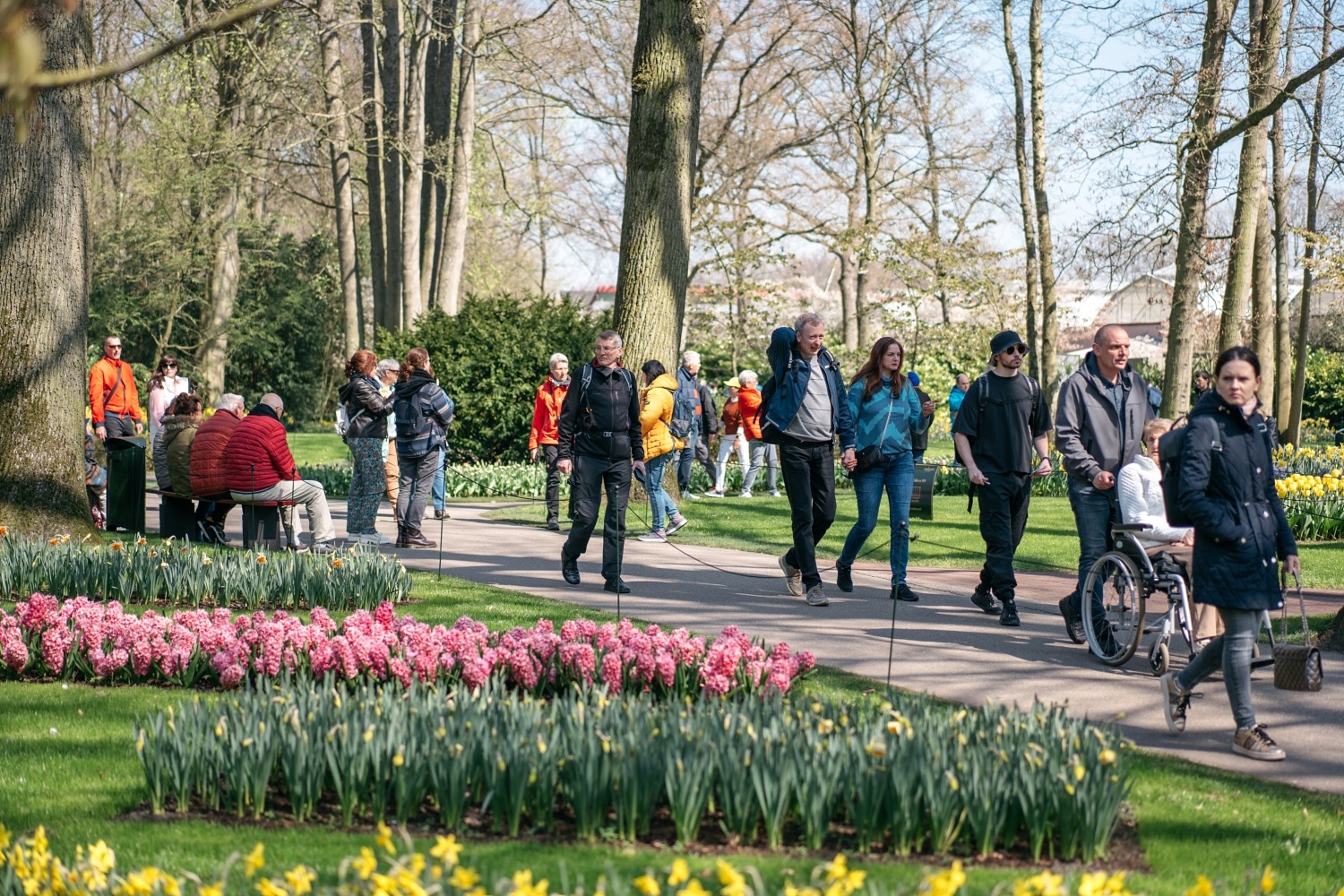 Keukenhof Hollande la haye pays bas tulipe  