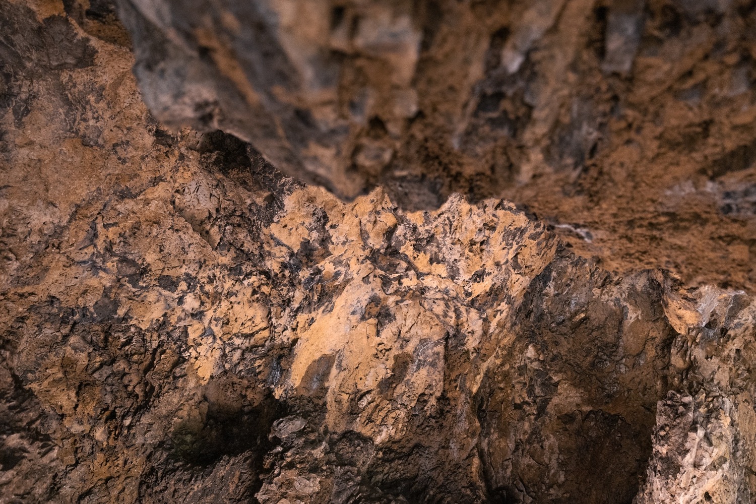 Grotte de Spy EHOS Namur Jemeppe-sur-Sambre archéologie Homme de neandertal rando forêt famille préhistoire