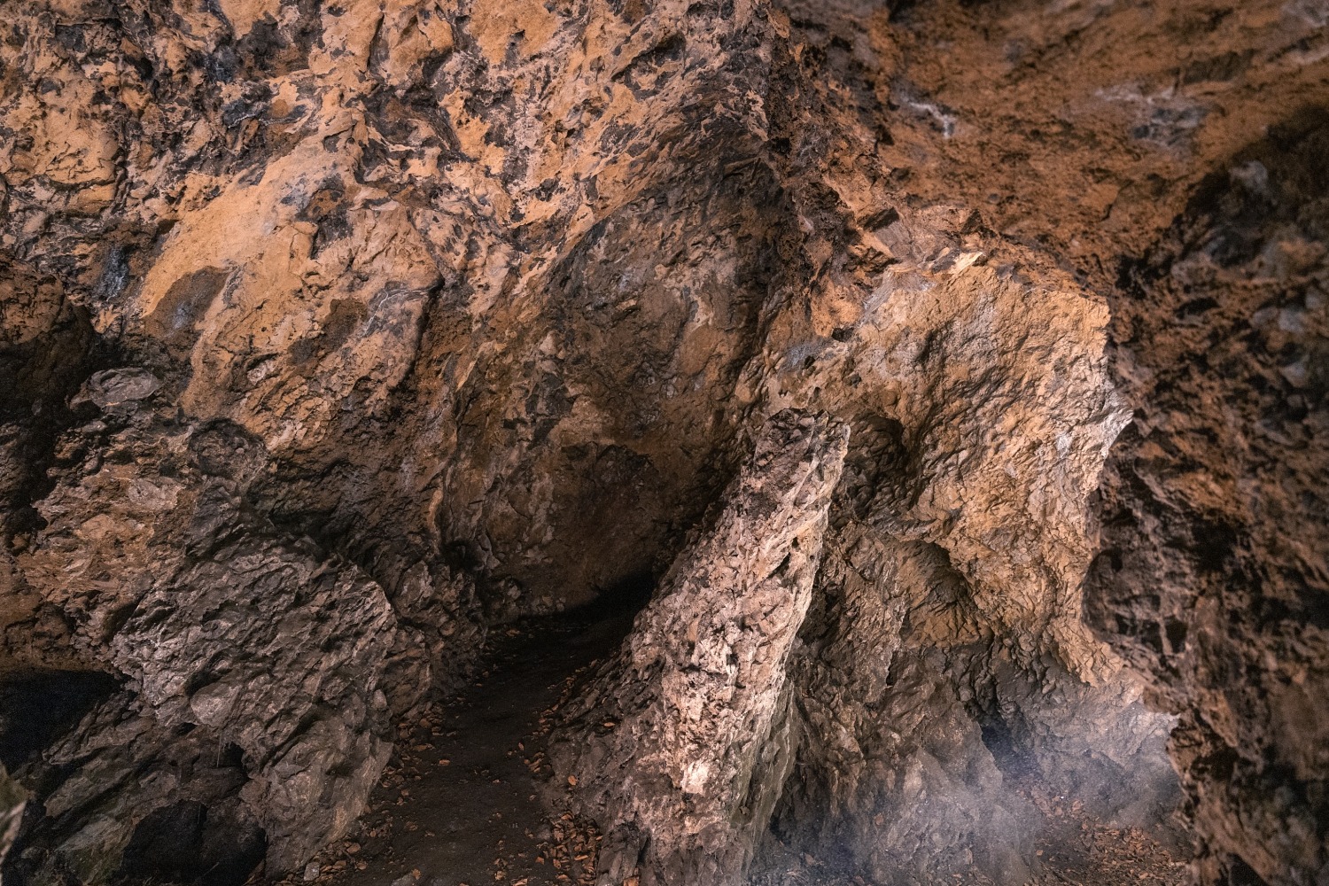 Grotte de Spy EHOS Namur Jemeppe-sur-Sambre archéologie Homme de neandertal rando forêt famille préhistoire