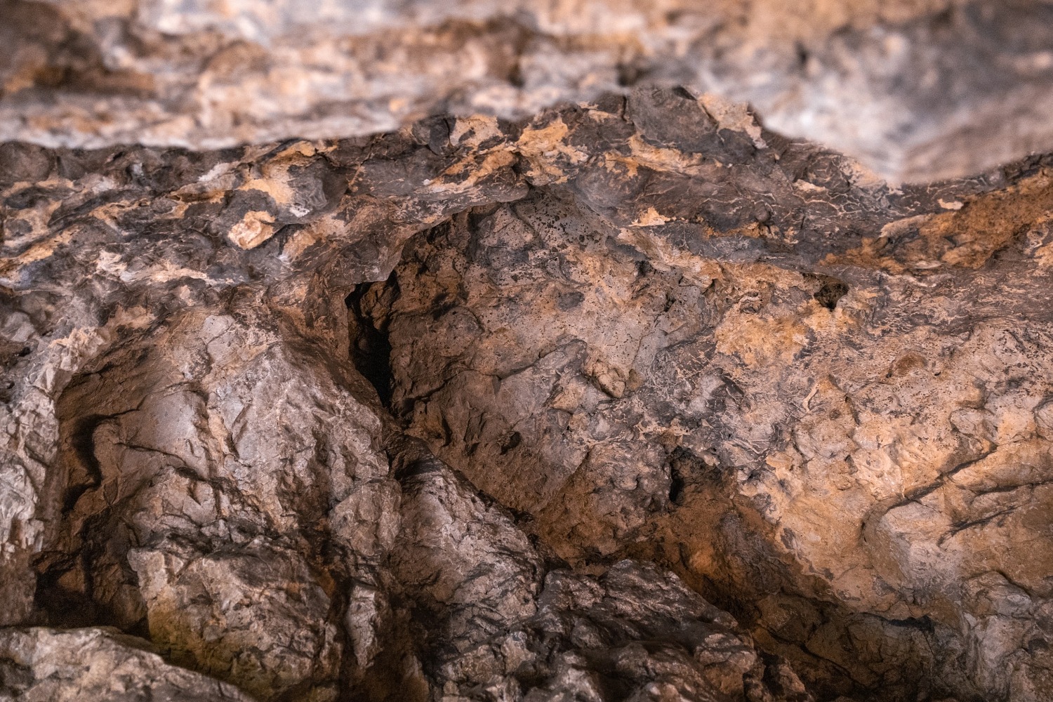 Grotte de Spy EHOS Namur Jemeppe-sur-Sambre archéologie Homme de neandertal rando forêt famille préhistoire