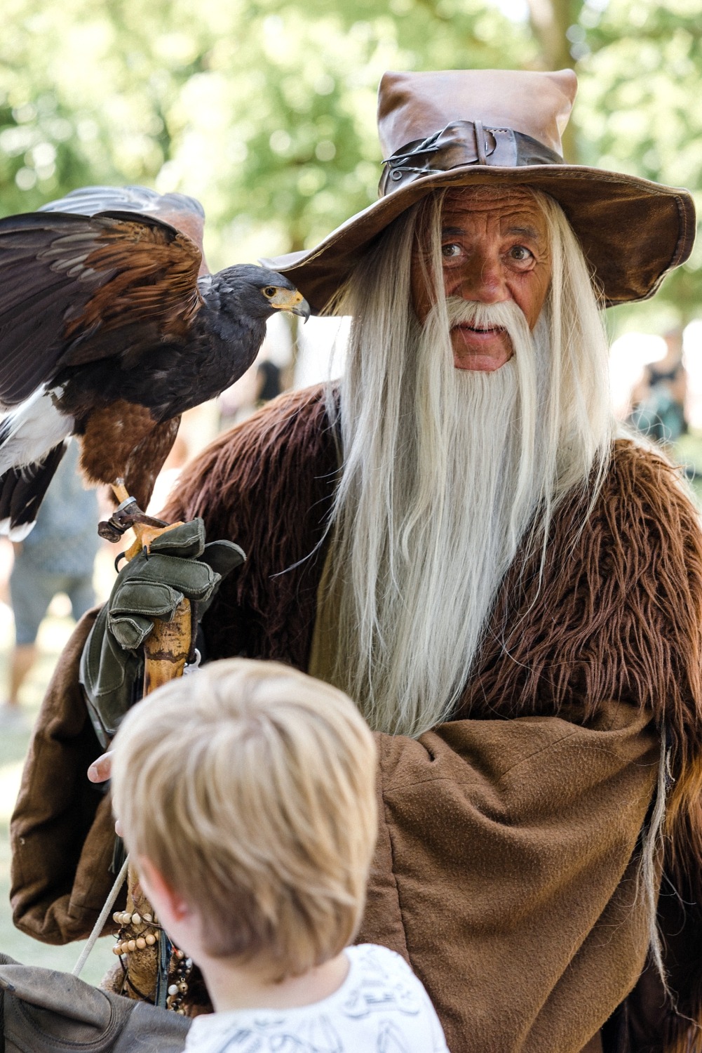 Dragonia festival médiéval fantastique Belgique Wallonie féérique dragon spectacle Ham-sur-Heure château évènement en famille