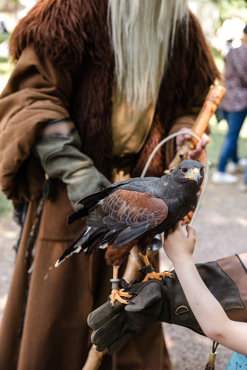 Dragonia festival médiéval fantastique Belgique Wallonie féérique dragon spectacle Ham-sur-Heure château évènement en famille