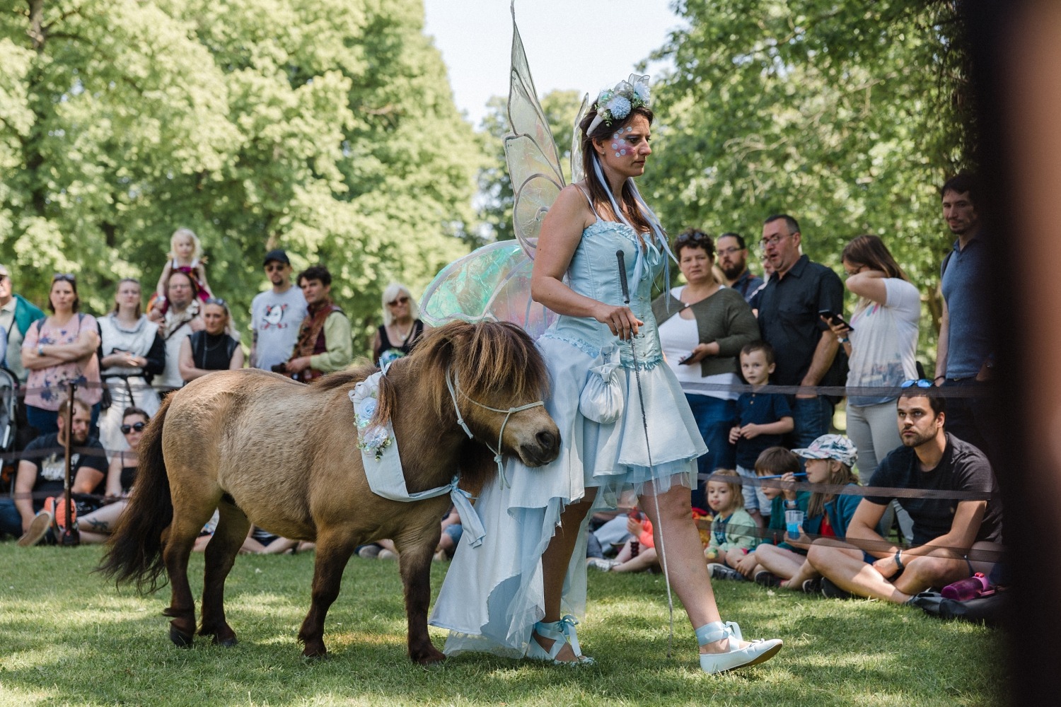 Dragonia festival médiéval fantastique Belgique Wallonie féérique dragon spectacle Ham-sur-Heure château évènement en famille