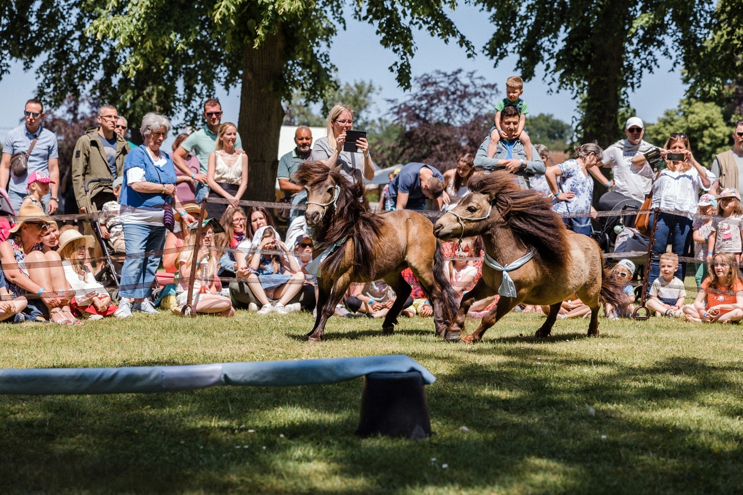 Dragonia festival médiéval fantastique Belgique Wallonie féérique dragon spectacle Ham-sur-Heure château évènement en famille