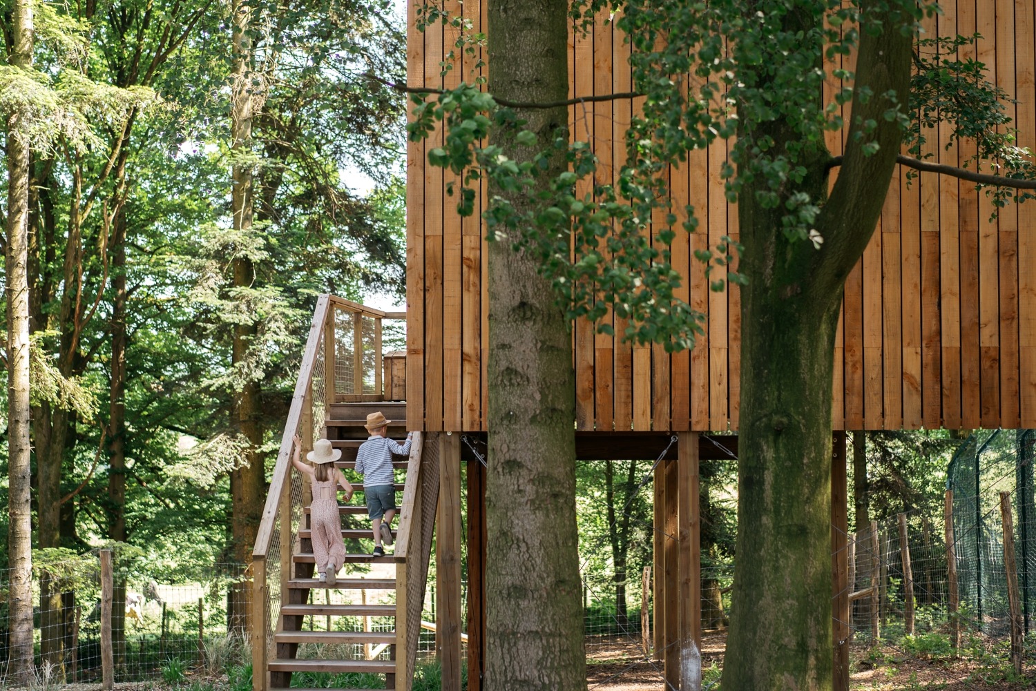 forestia parc animalier Belgique logement insolite famille cabane accrobranches ours loups nourrir daim cerf  wood lodge