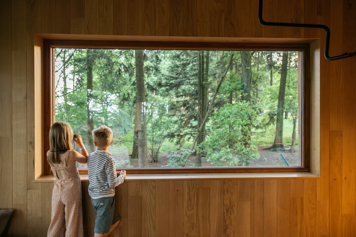 forestia parc animalier Belgique logement insolite famille cabane accrobranches ours loups nourrir daim cerf  wood lodge