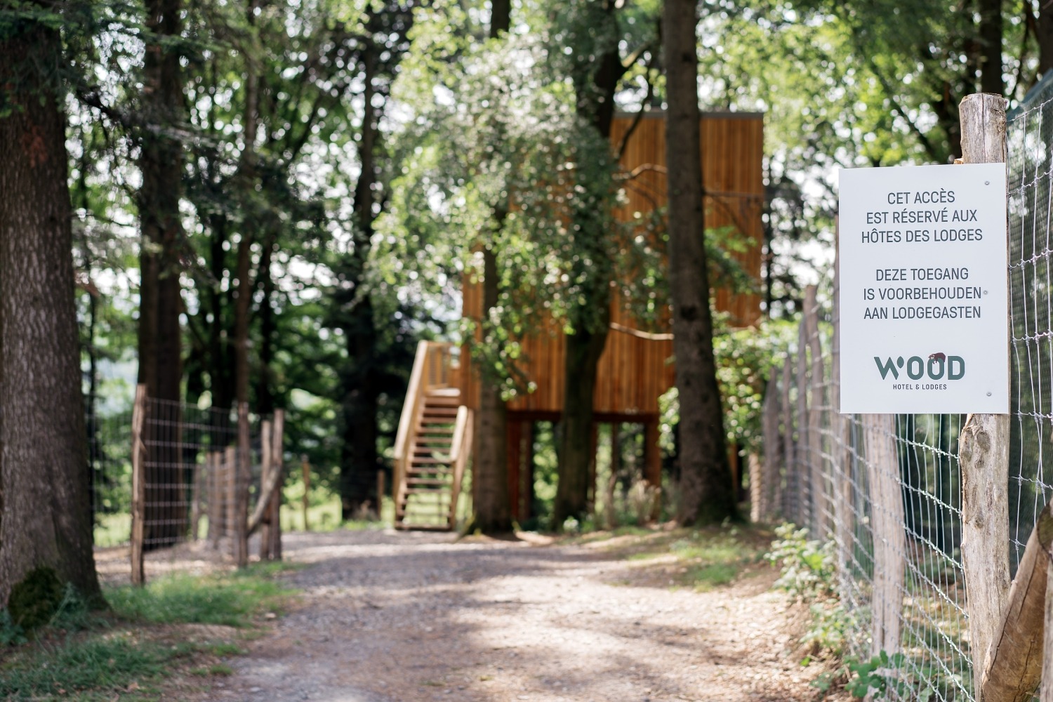 forestia parc animalier Belgique logement insolite famille cabane accrobranches ours loups nourrir daim cerf  wood lodge