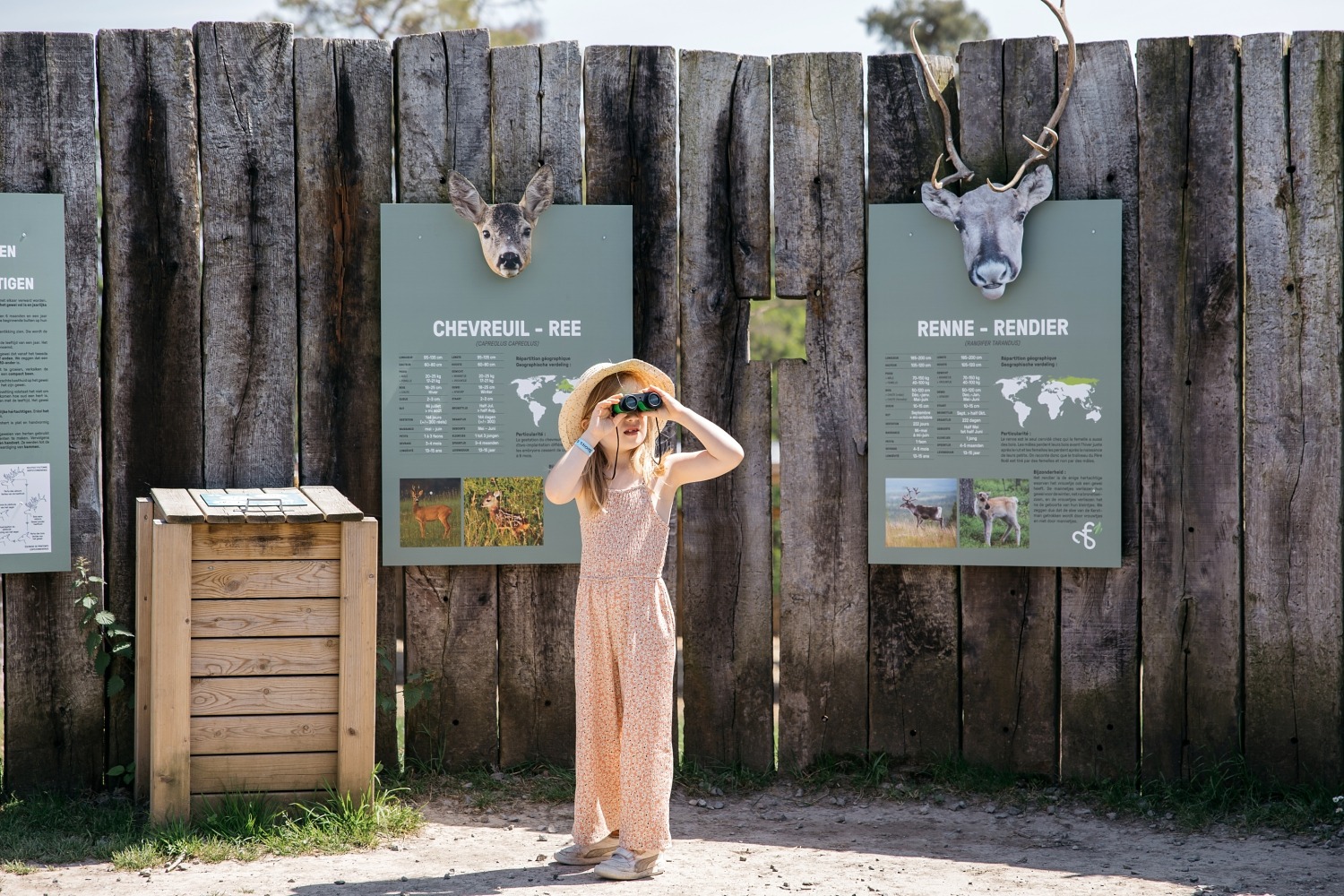 forestia parc animalier Belgique logement insolite famille cabane accrobranches ours loups nourrir daim cerf 