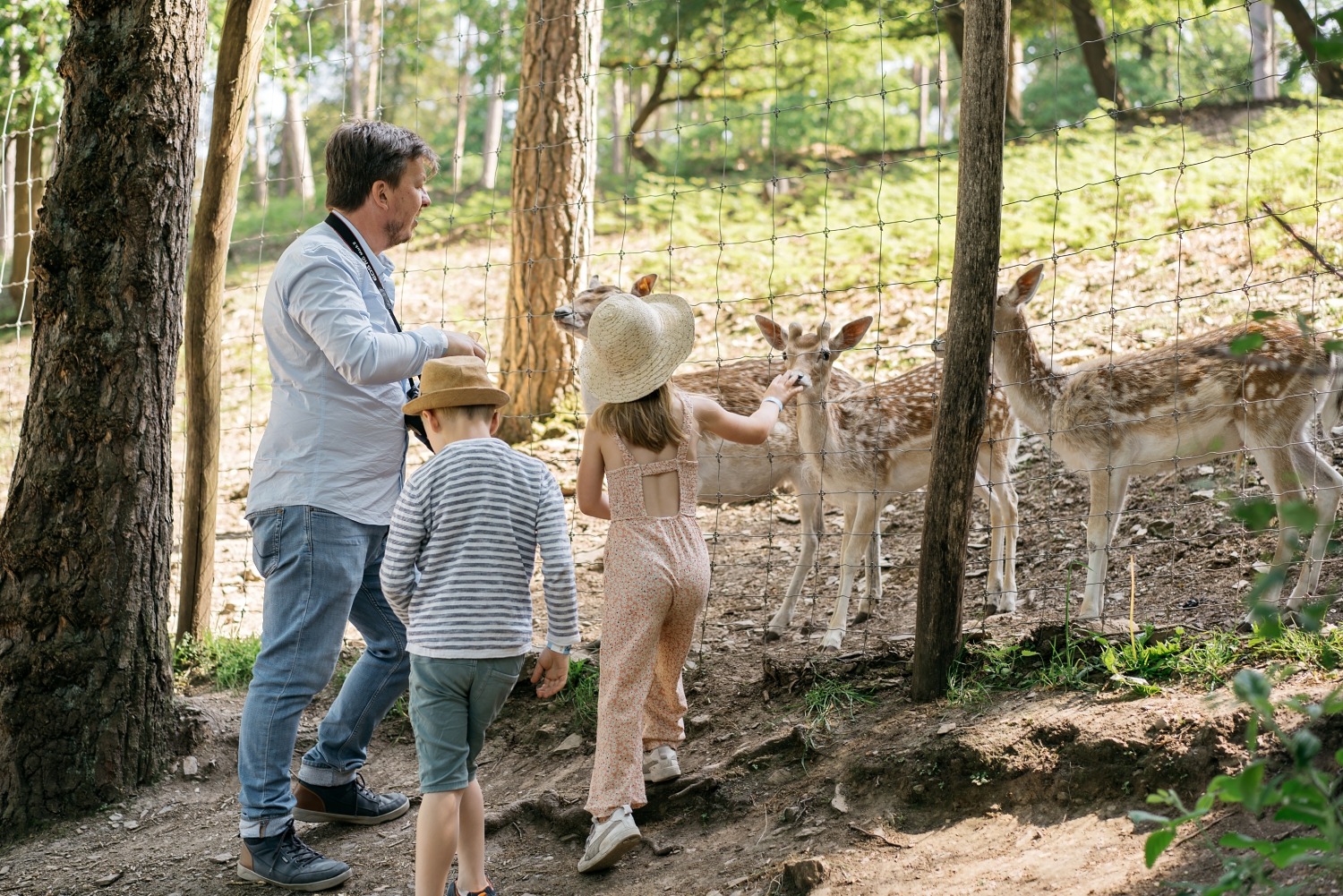 forestia parc animalier Belgique logement insolite famille cabane accrobranches ours loups nourrir daim cerf  wood lodge