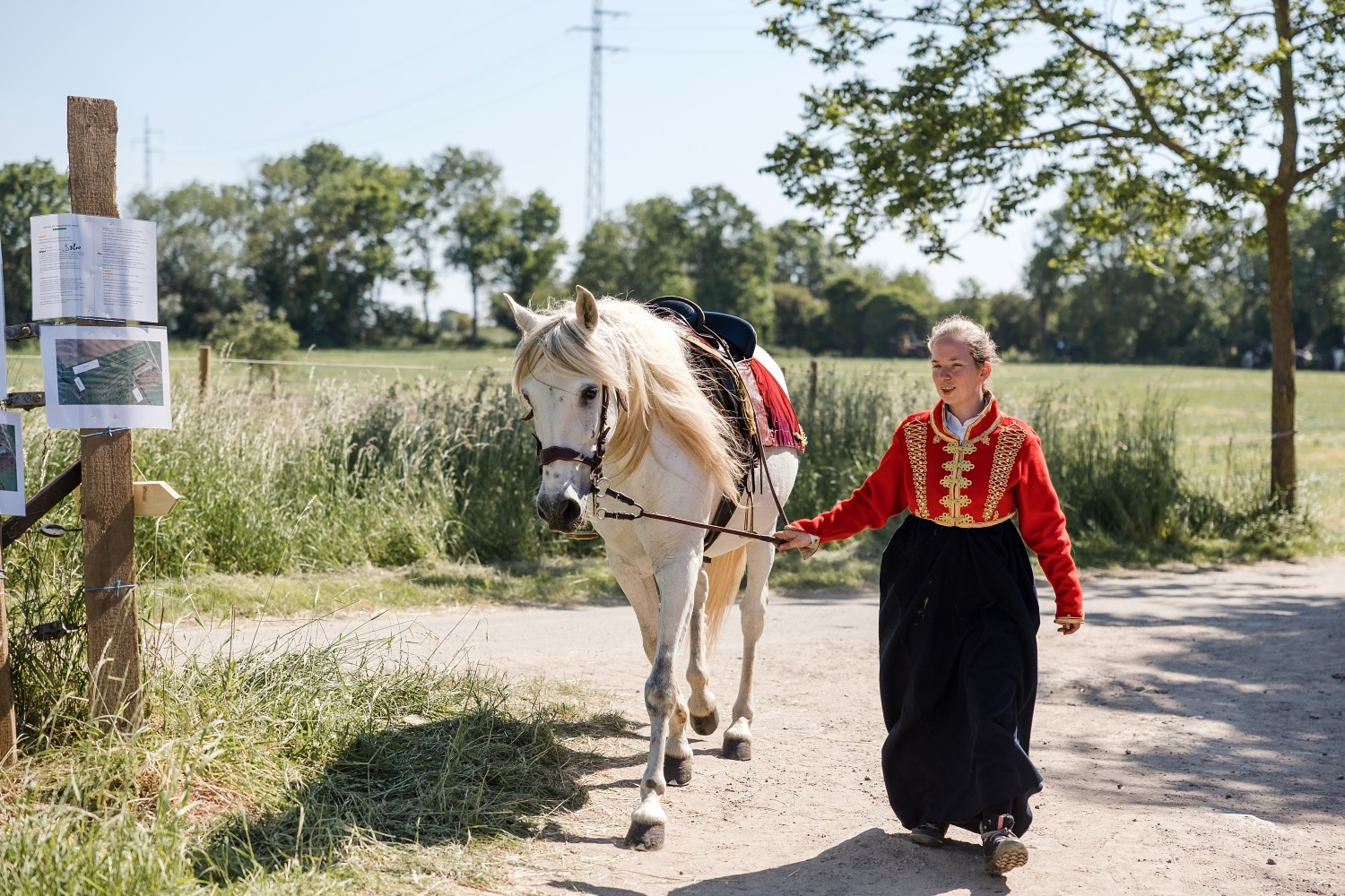 Napoléoniennes Ligny bataille Napoléon reconstitution Musée Ligny 1815 evenement histoire 