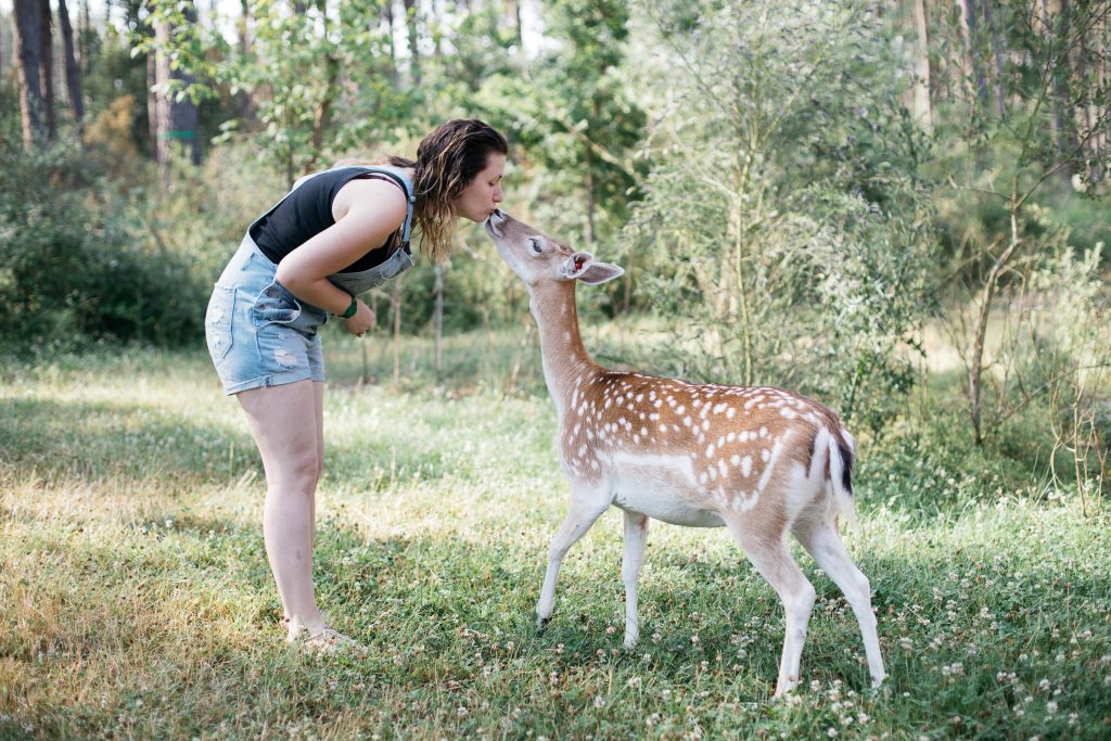 Center parcs - Quel domaine choisir ? 209