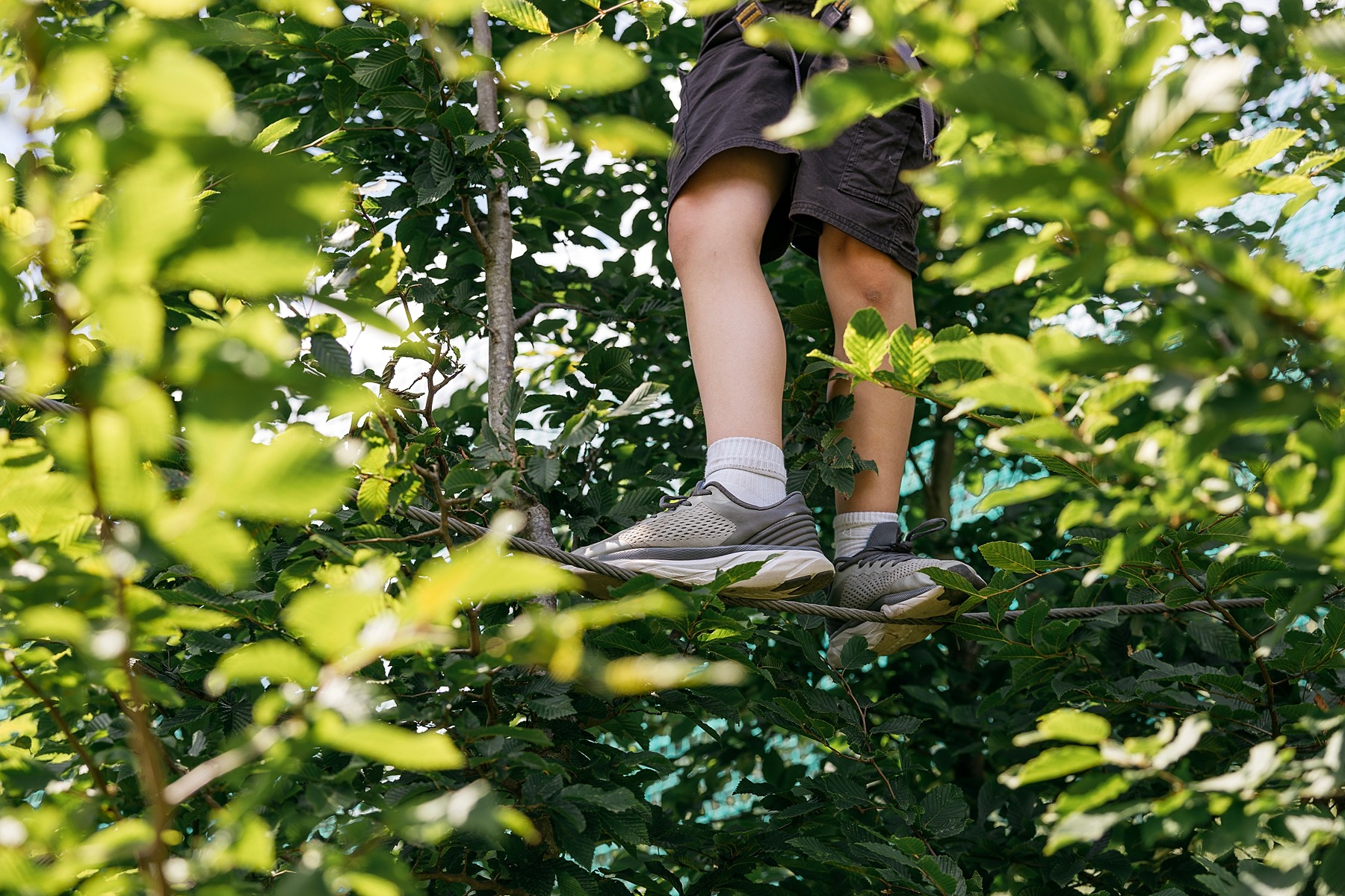 Sortilège betovering bruxelles accrobranche forêt aventure famille nature médiéval jeu de piste belgique 