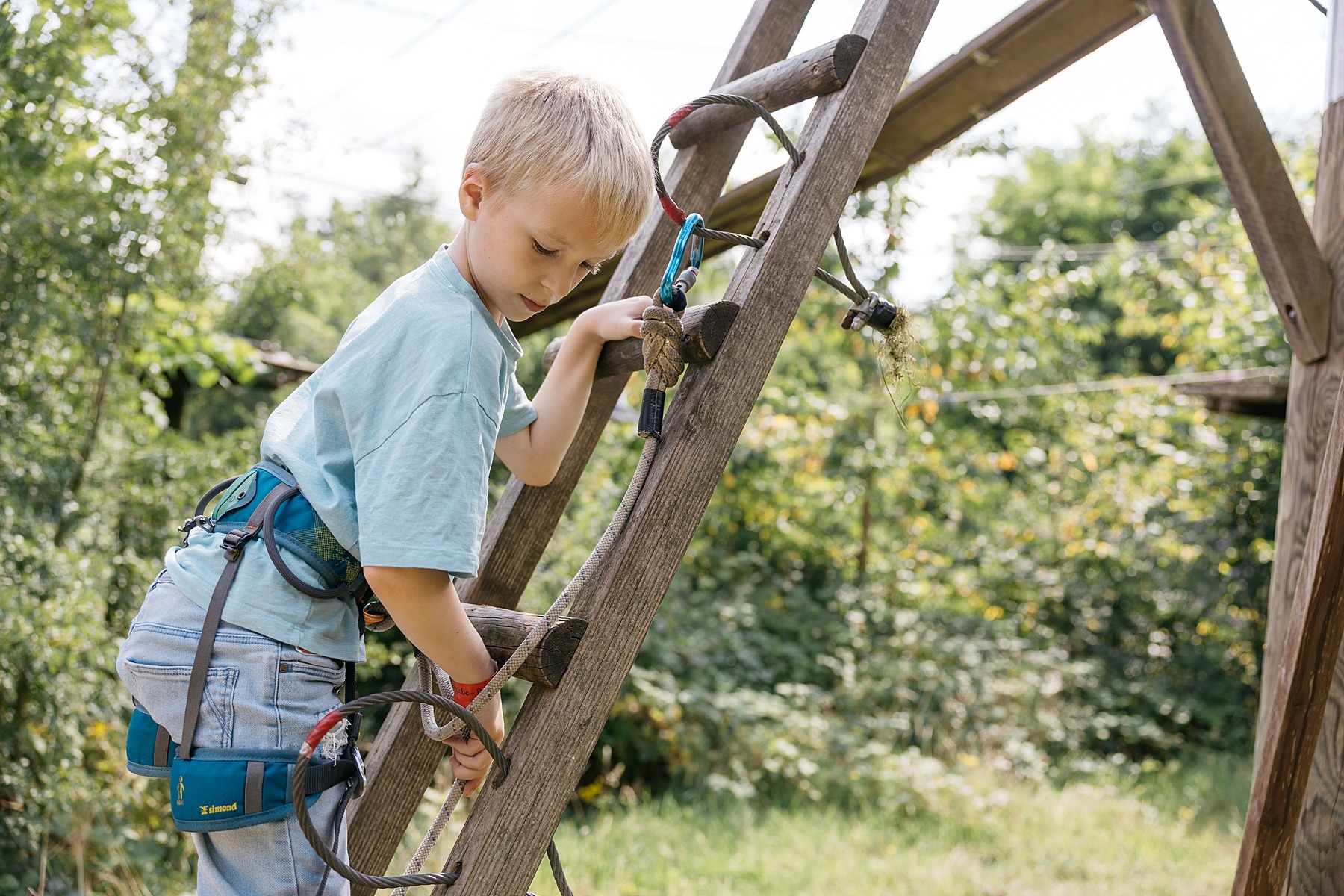 Sortilège betovering bruxelles accrobranche forêt aventure famille nature médiéval jeu de piste belgique 