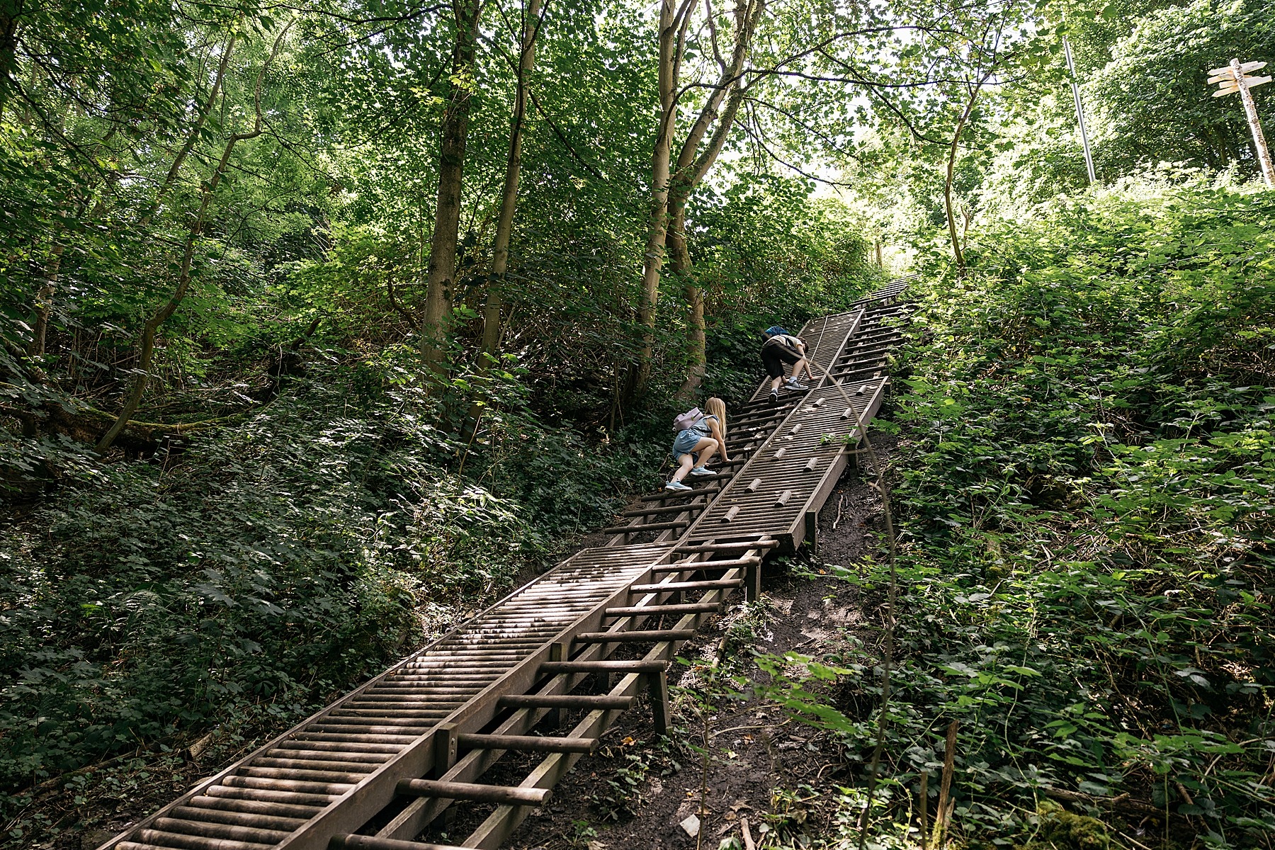 Sortilège betovering bruxelles accrobranche forêt aventure famille nature médiéval jeu de piste belgique 