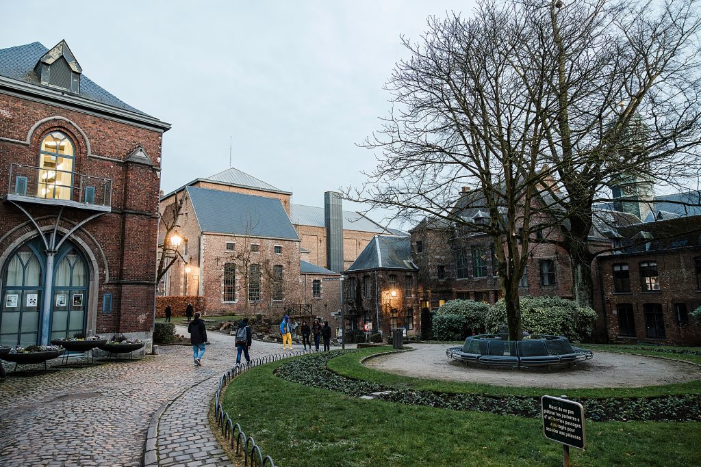 Mons, la cité du doudou 18