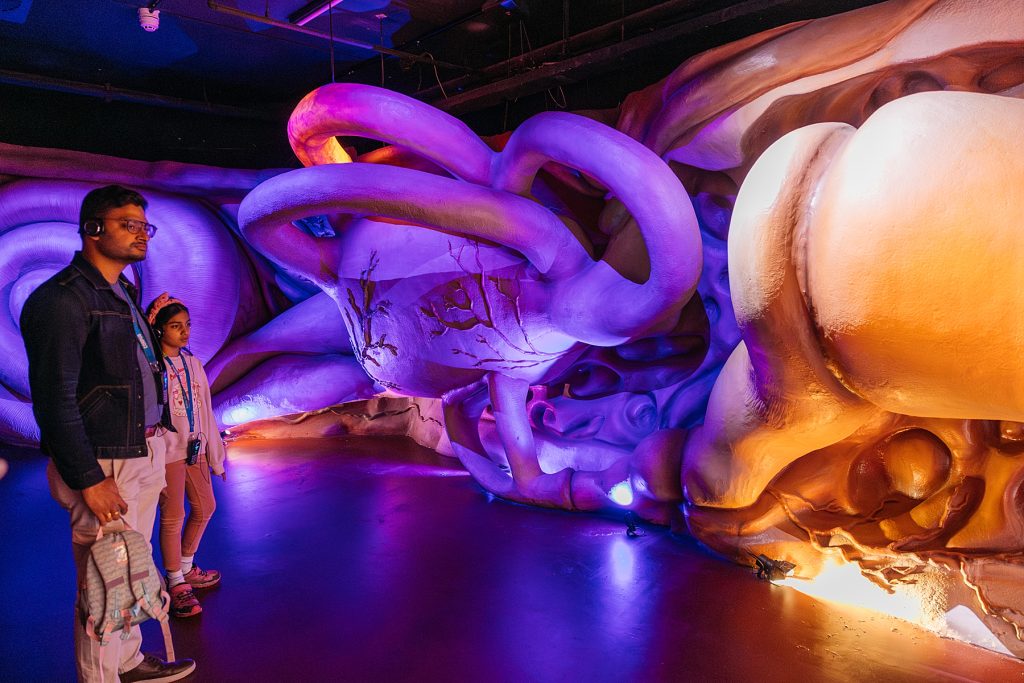 Naturalis, l'Histoire naturelle en XXL 1