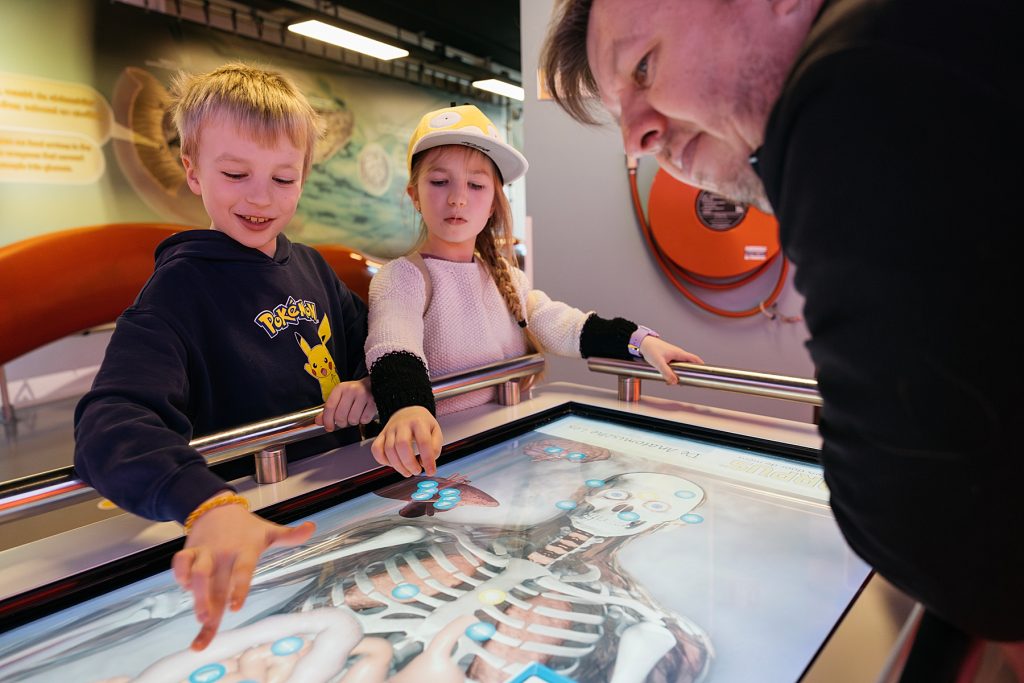 Naturalis, l'Histoire naturelle en XXL 6