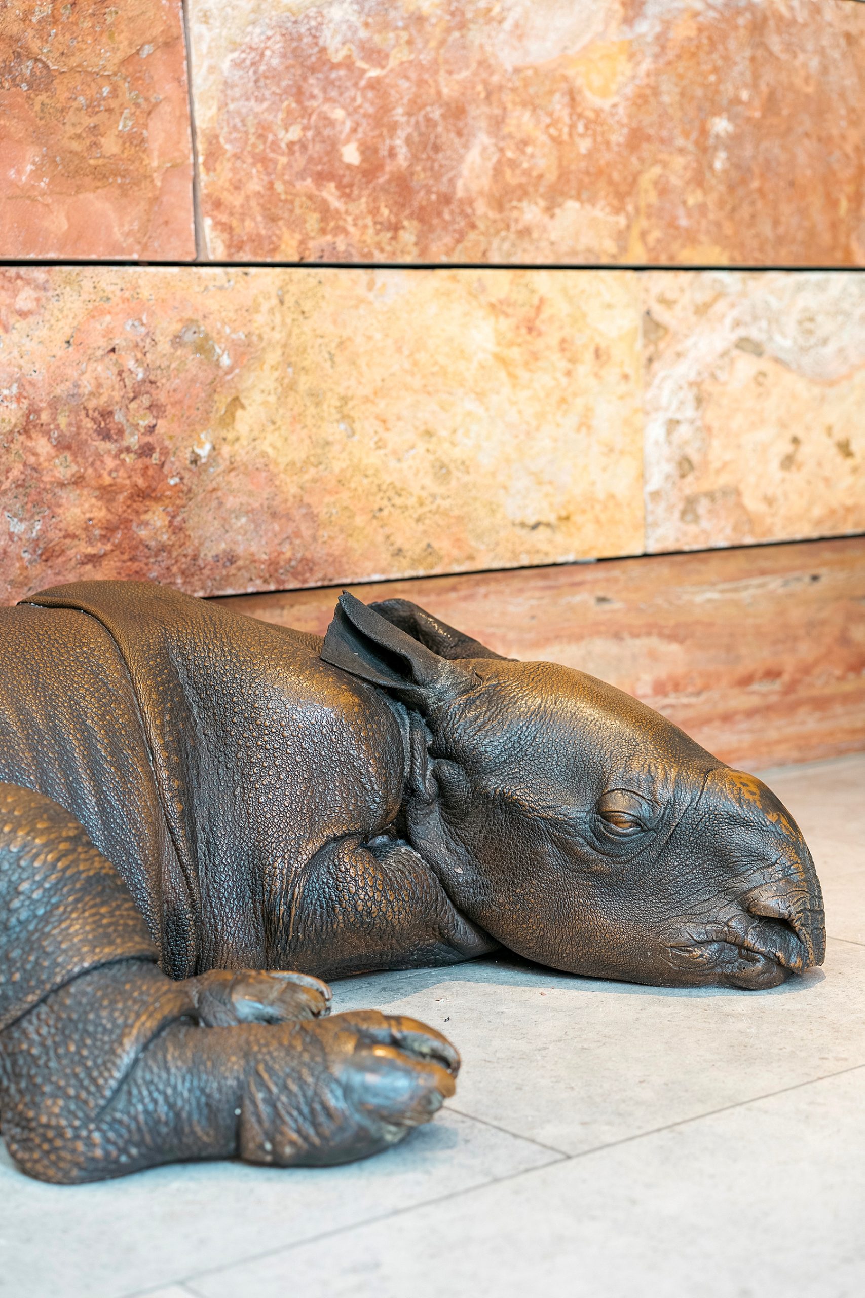 Naturalis musée histoire naturelle Leyde Hollande Pays-bas