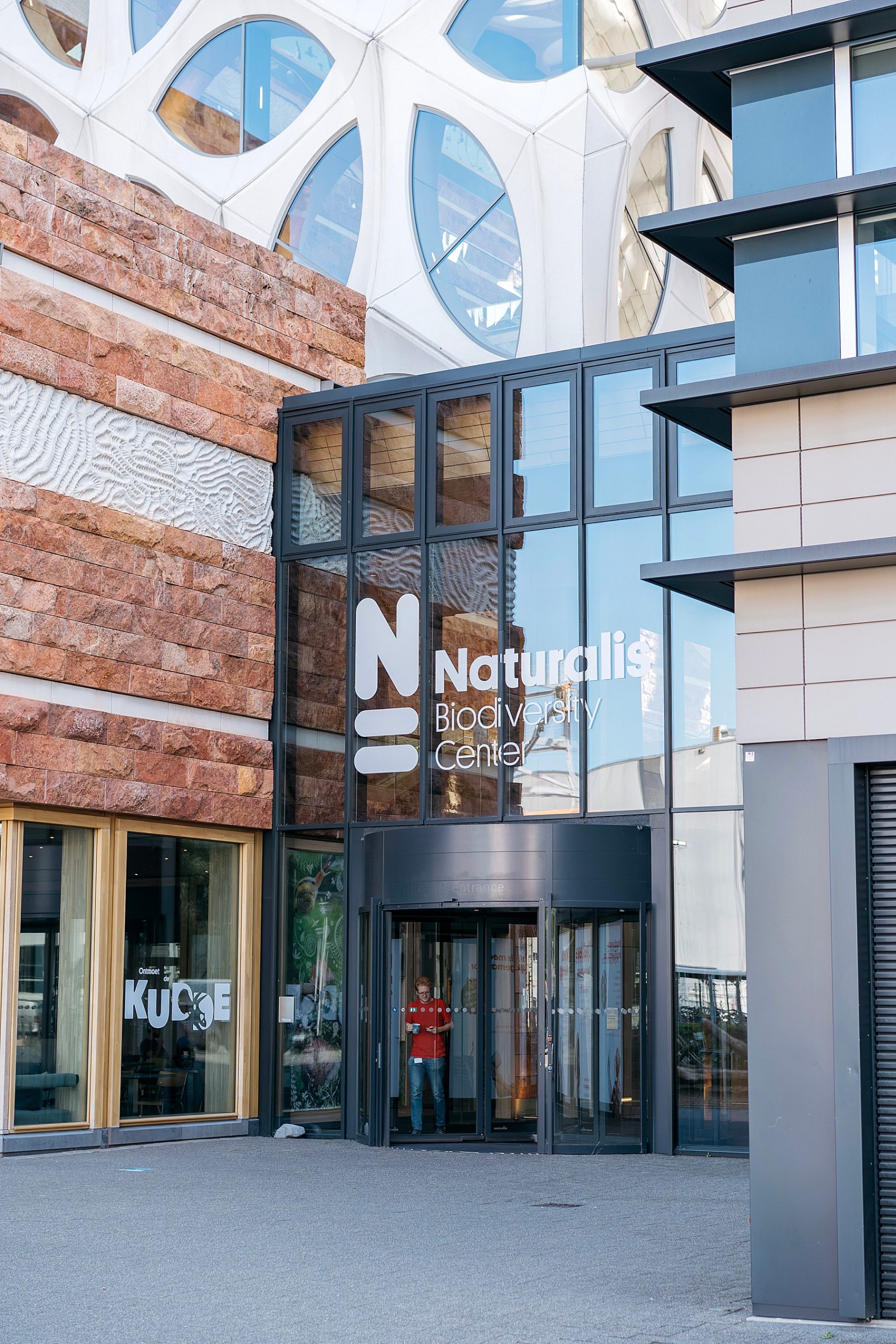 Naturalis musée histoire naturelle Leyde Hollande Pays-bas
