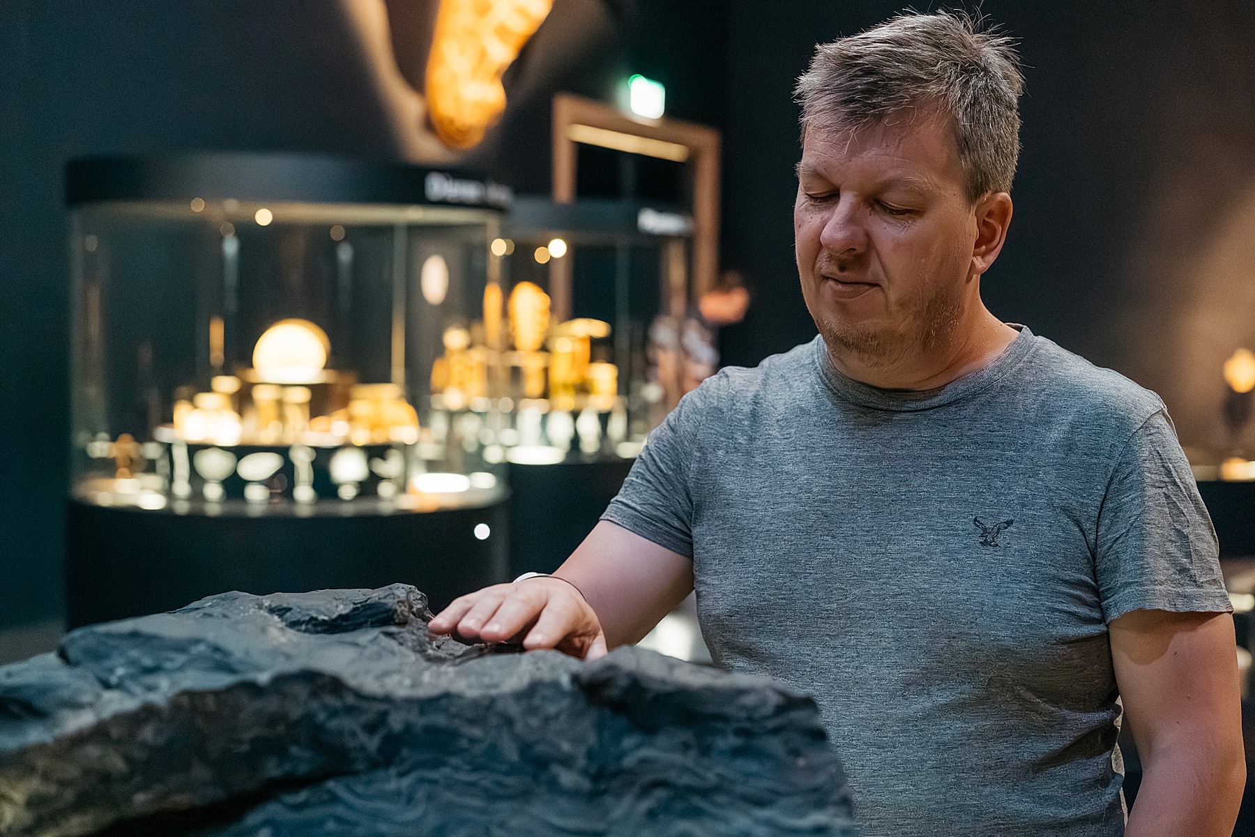 Naturalis musée histoire naturelle Leyde Hollande Pays-bas
